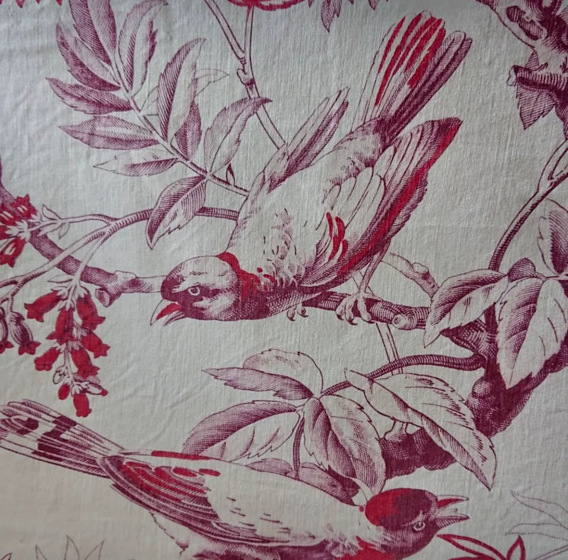 19th-Century French Printed Bird & Butterfly Cotton *