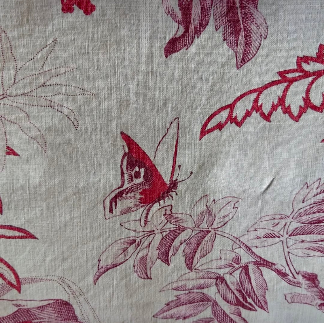 19th-Century French Printed Bird & Butterfly Cotton *