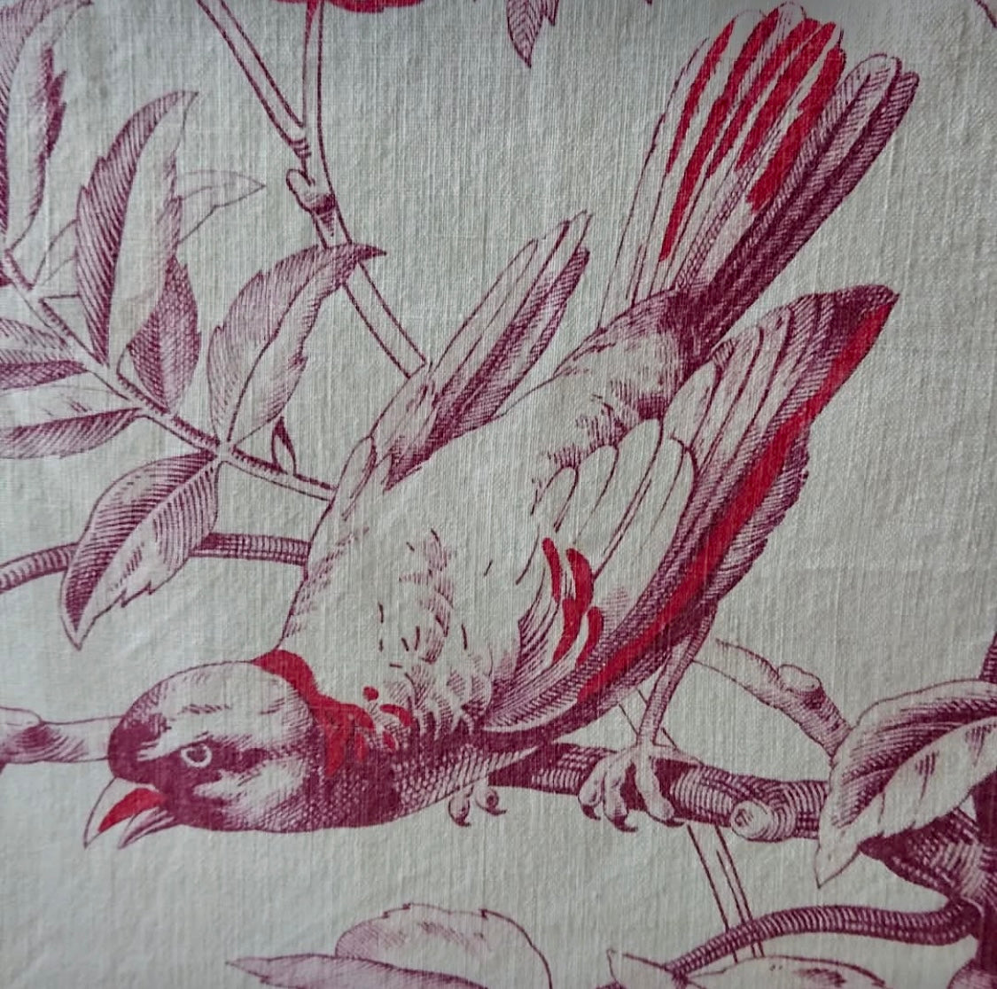 19th-Century French Printed Bird & Butterfly Cotton *