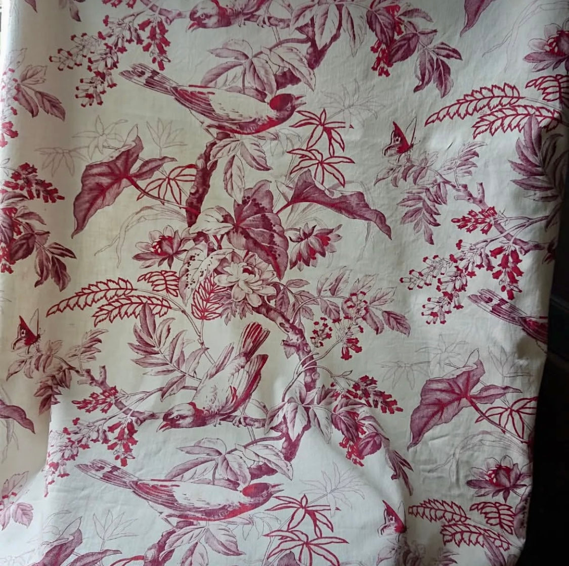 19th-Century French Printed Bird & Butterfly Cotton *