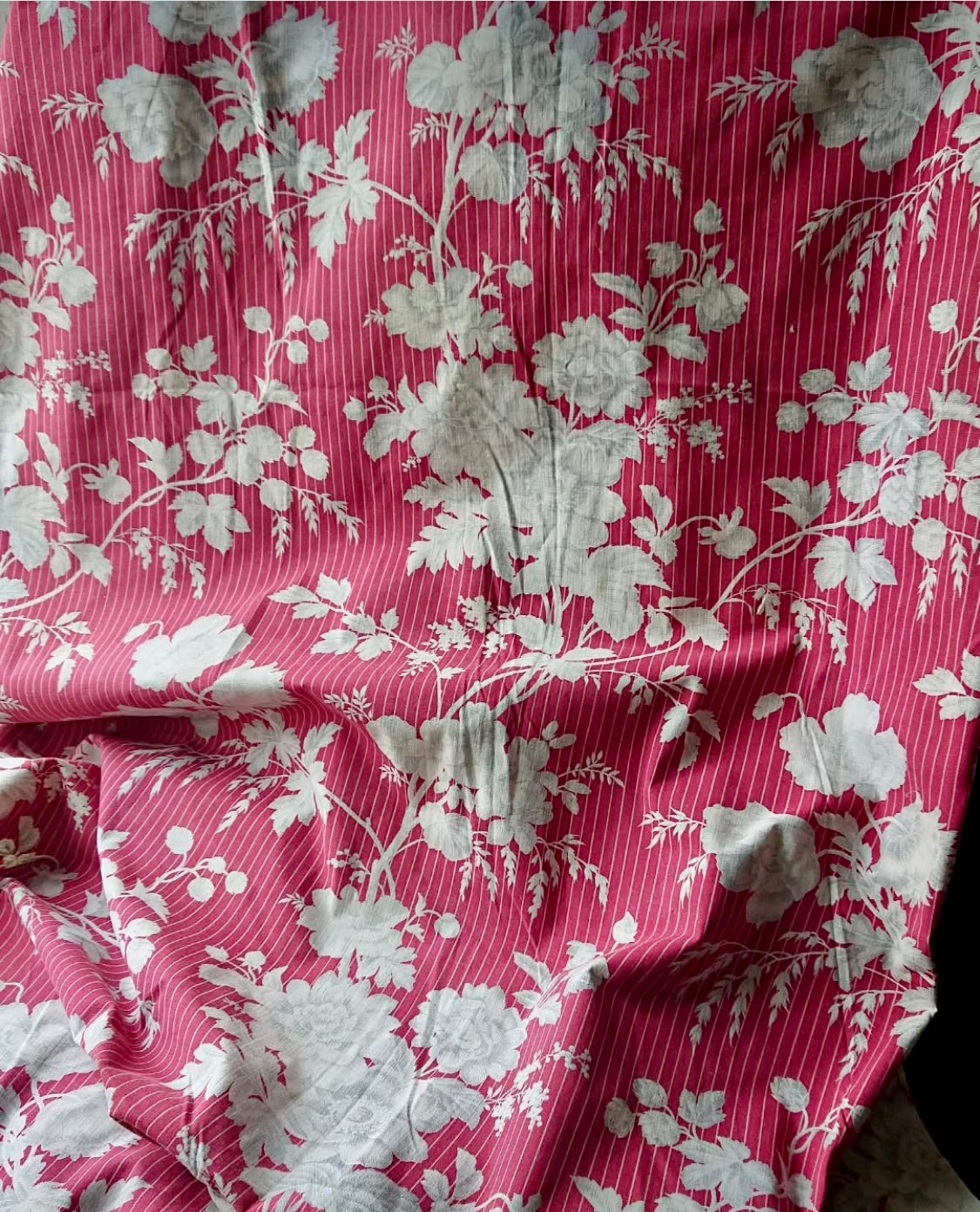 Antique 1880s French Printed Cotton *