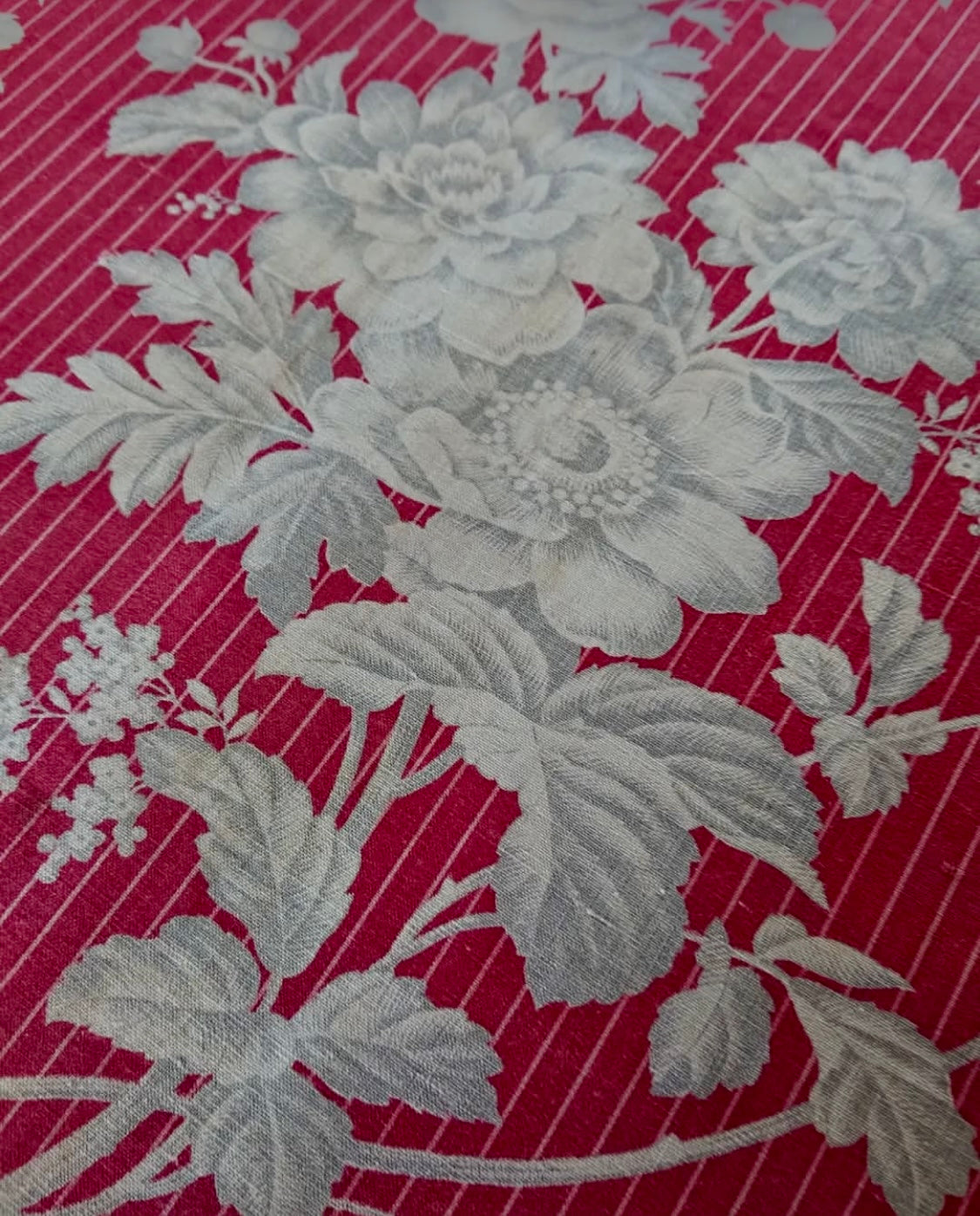 Antique 1880s French Printed Cotton *