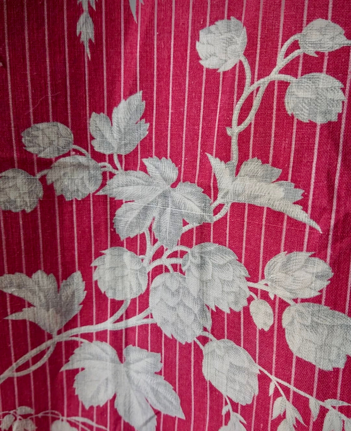 Antique 1880s French Printed Cotton *