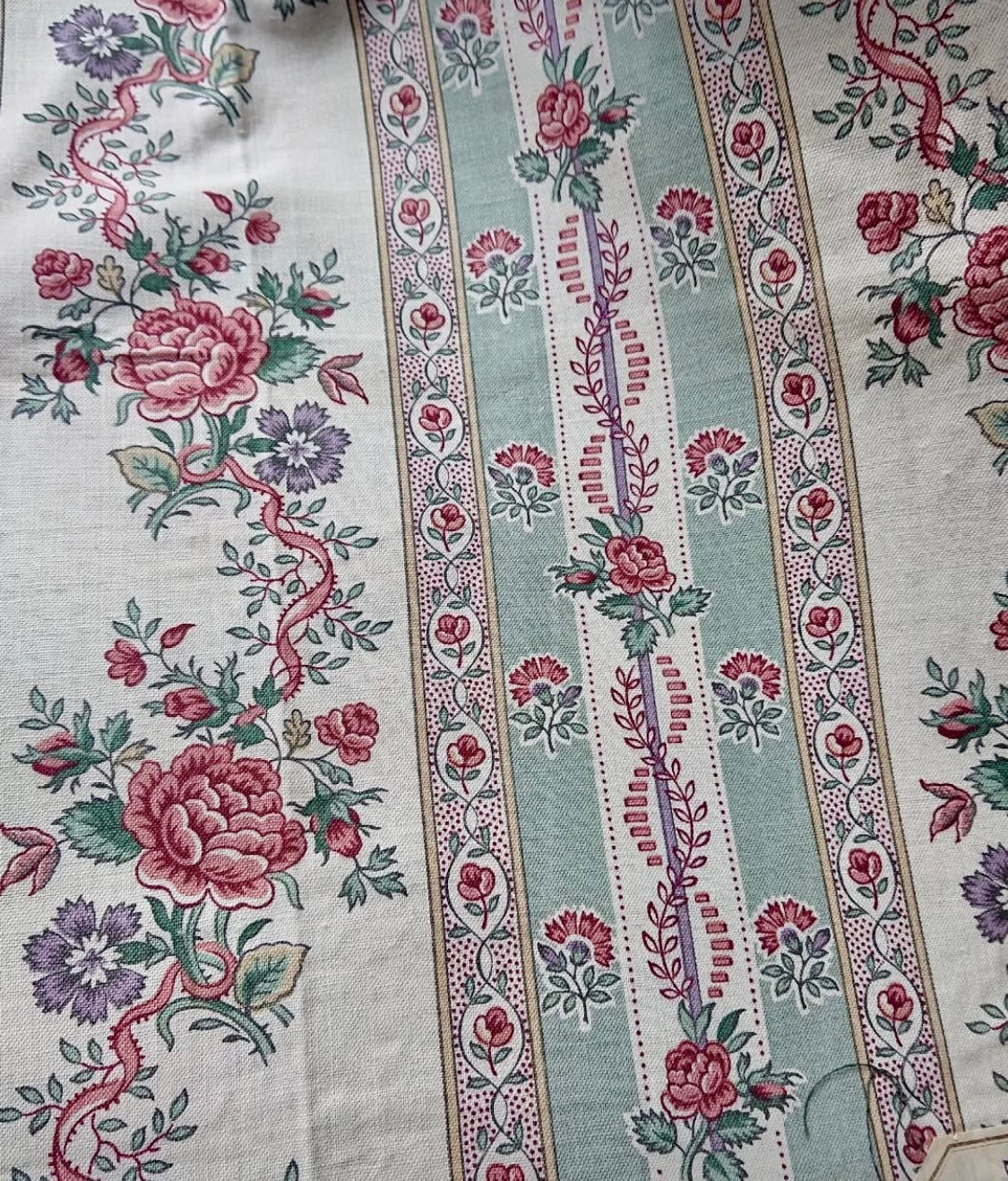 Antique 1880s French Printed Cotton *