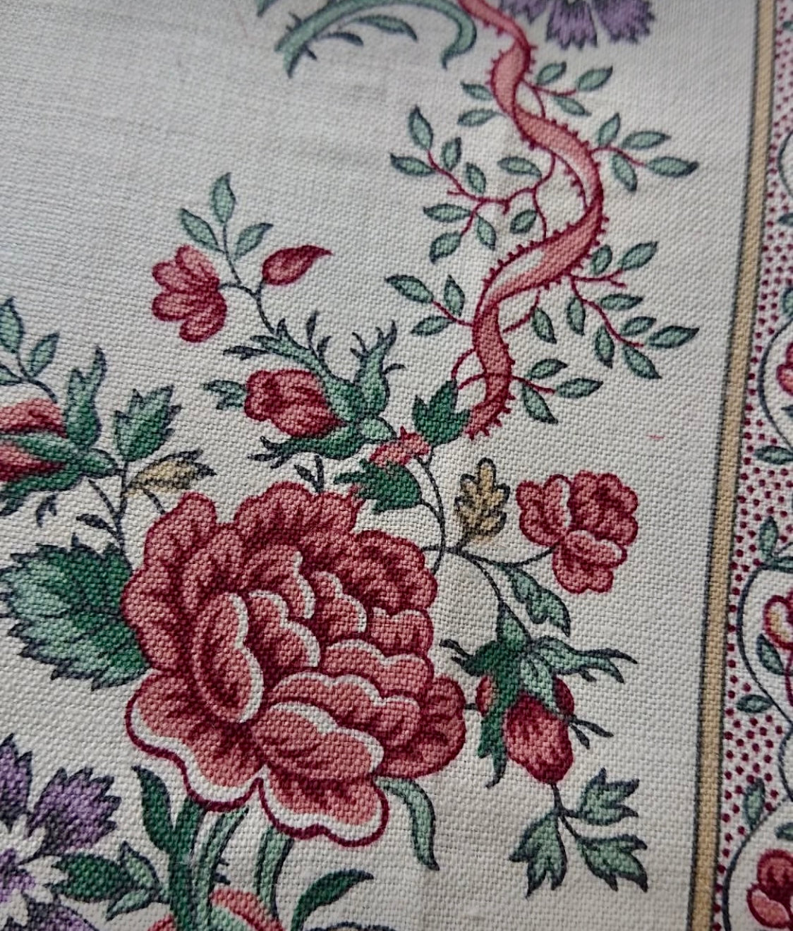 Antique 1880s French Printed Cotton *