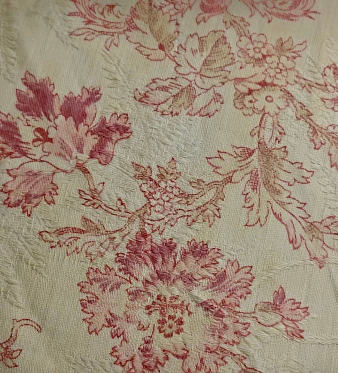 Antique 1880s French Printed Cotton *