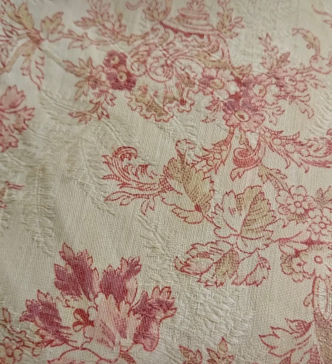 Antique 1880s French Printed Cotton *