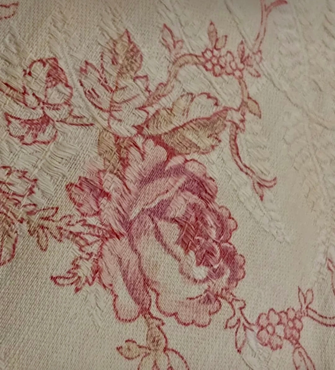 Antique 1880s French Printed Cotton *