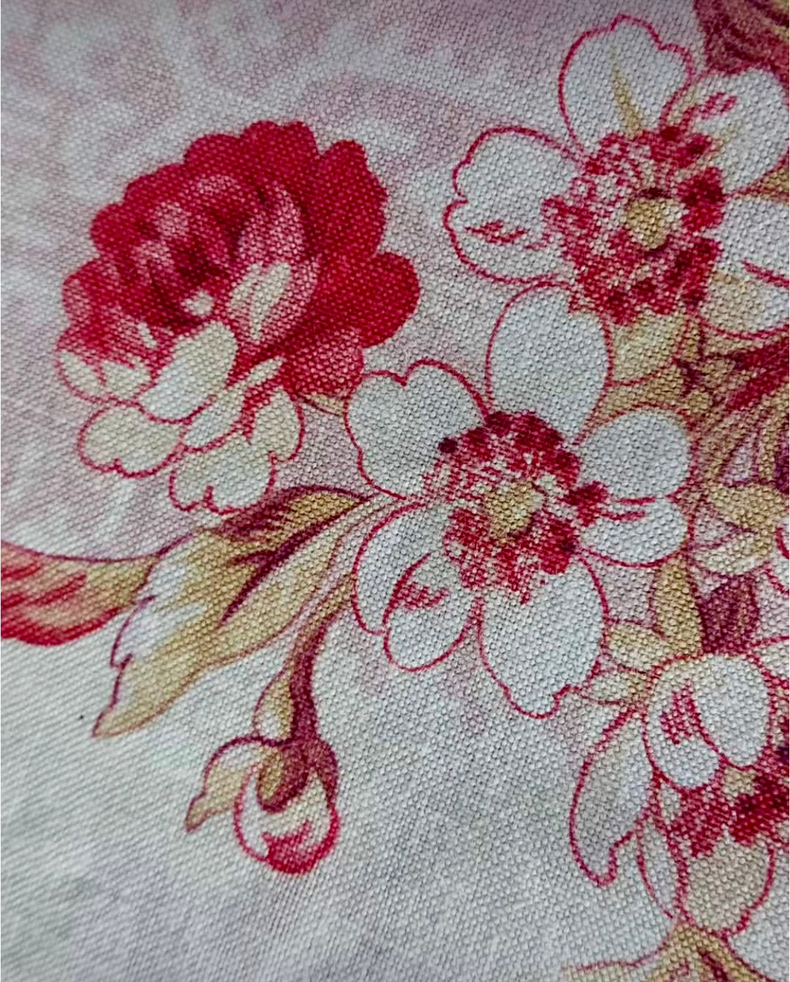 Beautiful French Printed Cotton Morceau *