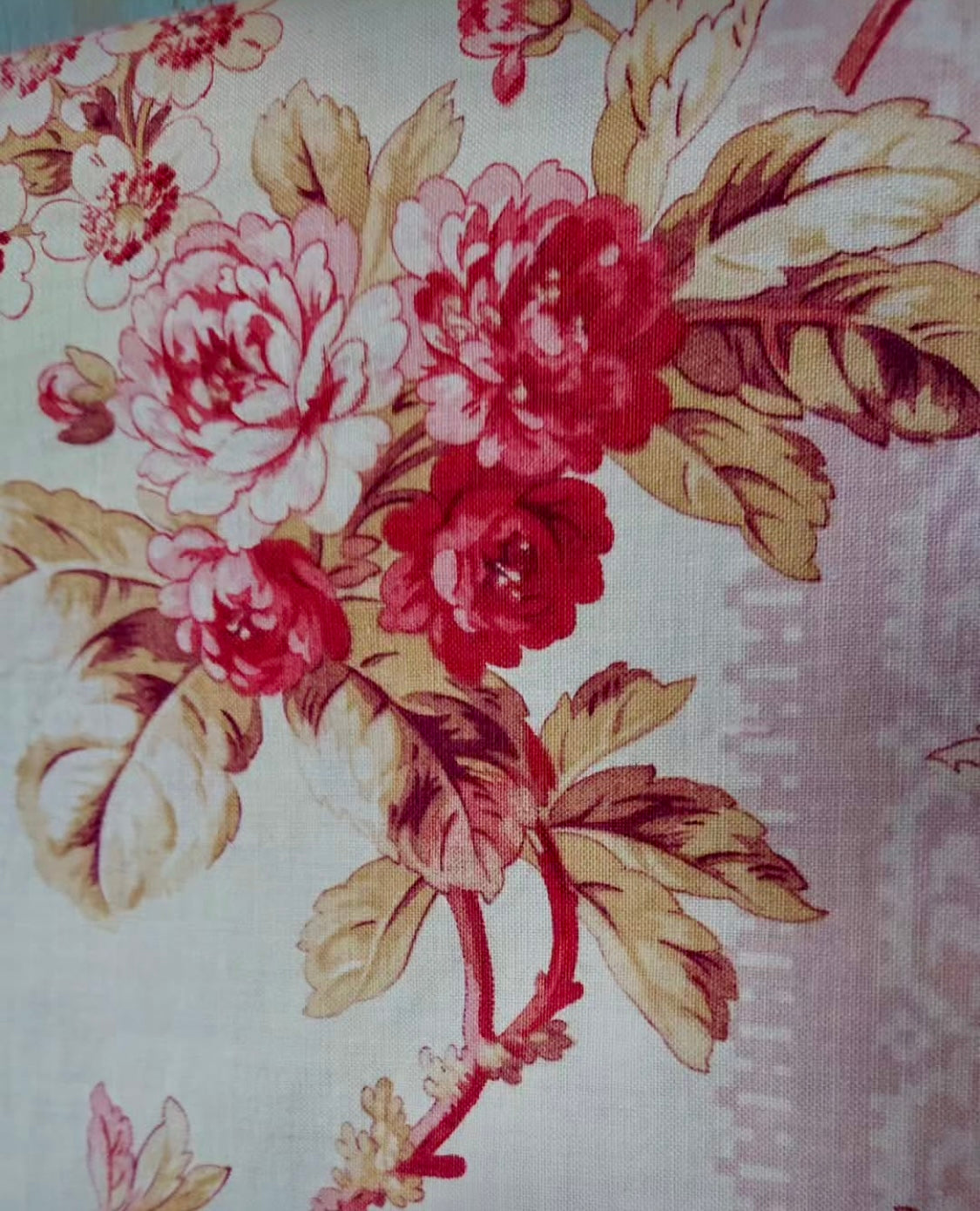 Beautiful French Printed Cotton Morceau *
