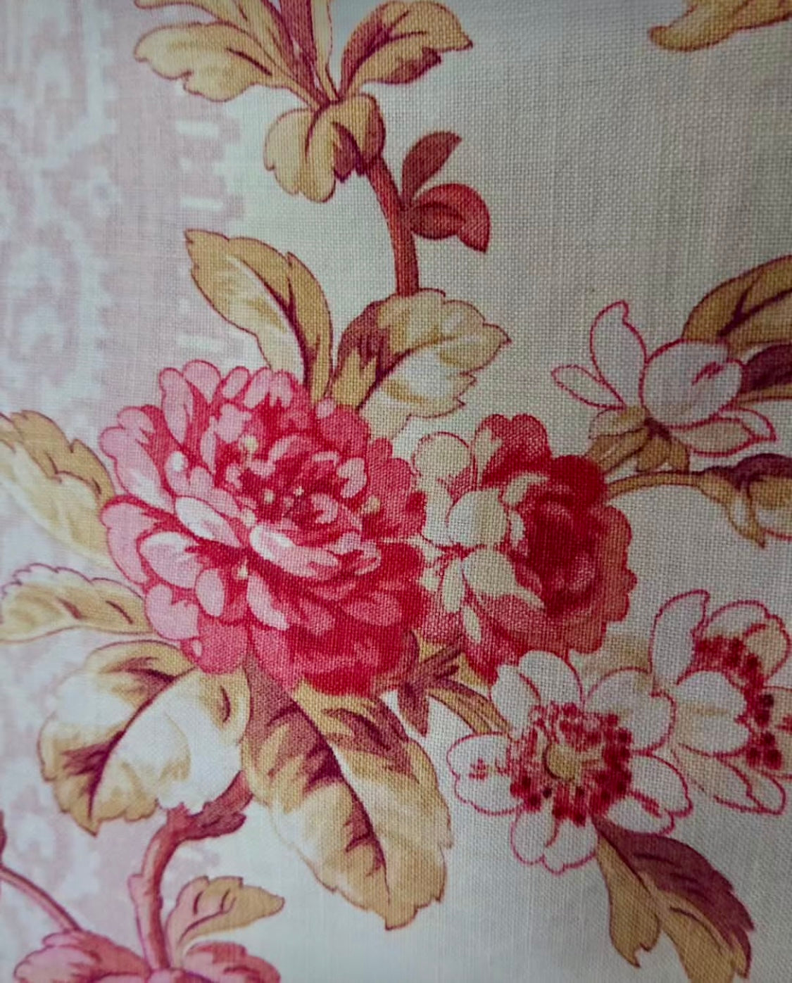 Beautiful French Printed Cotton Morceau *