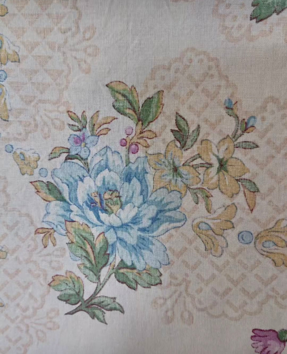 Beautiful French Printed Cotton Morceau *