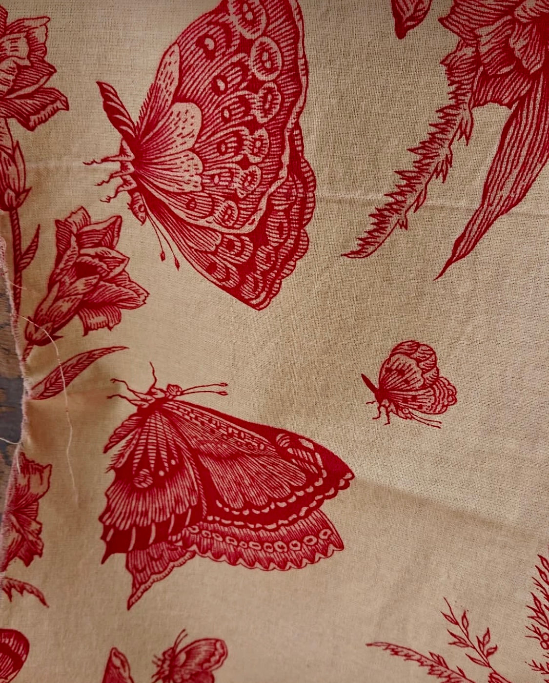 Beautiful Vintage French Cotton Butterflies Toile *