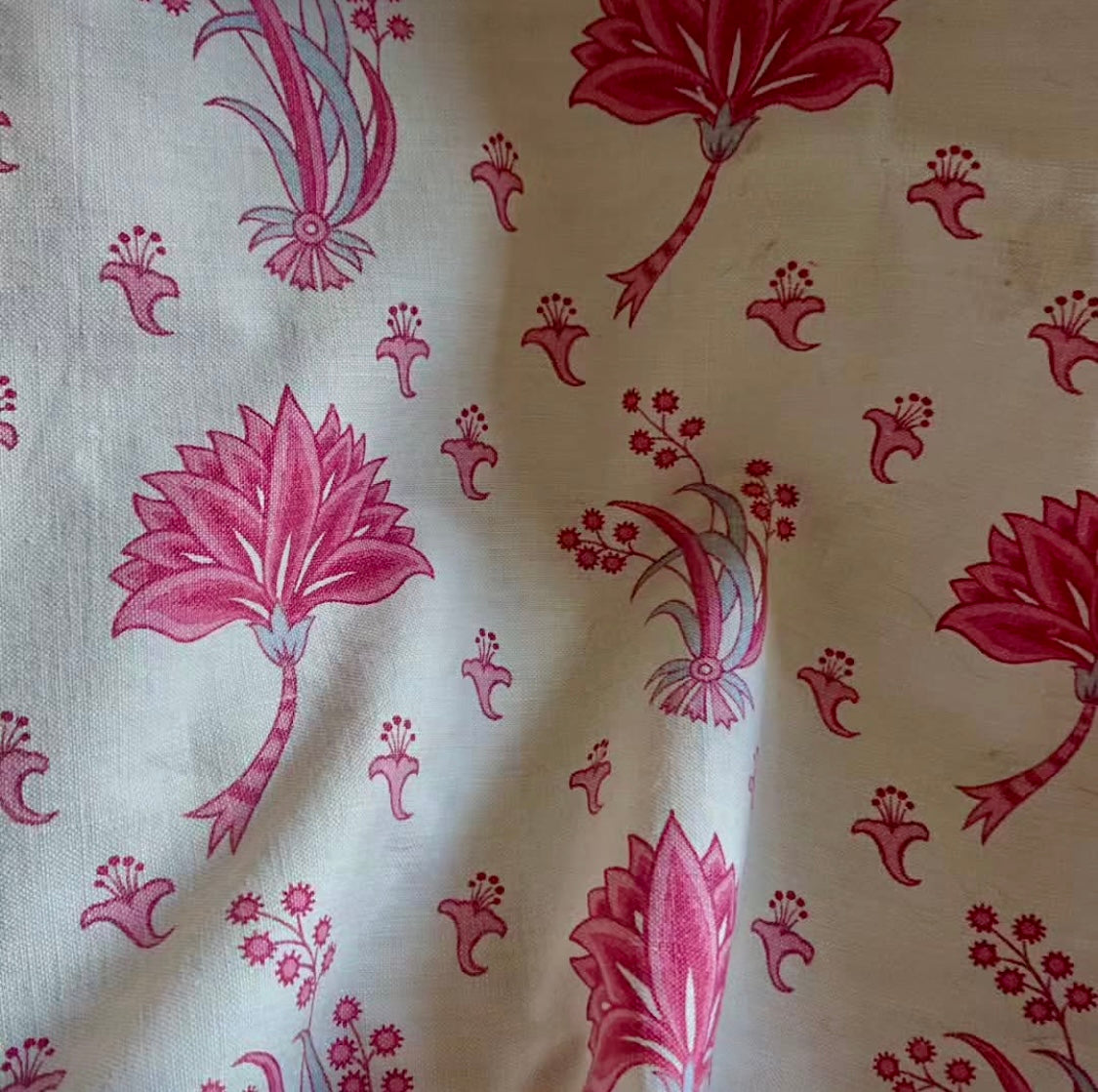 1800s French Printed Cotton Morceau *