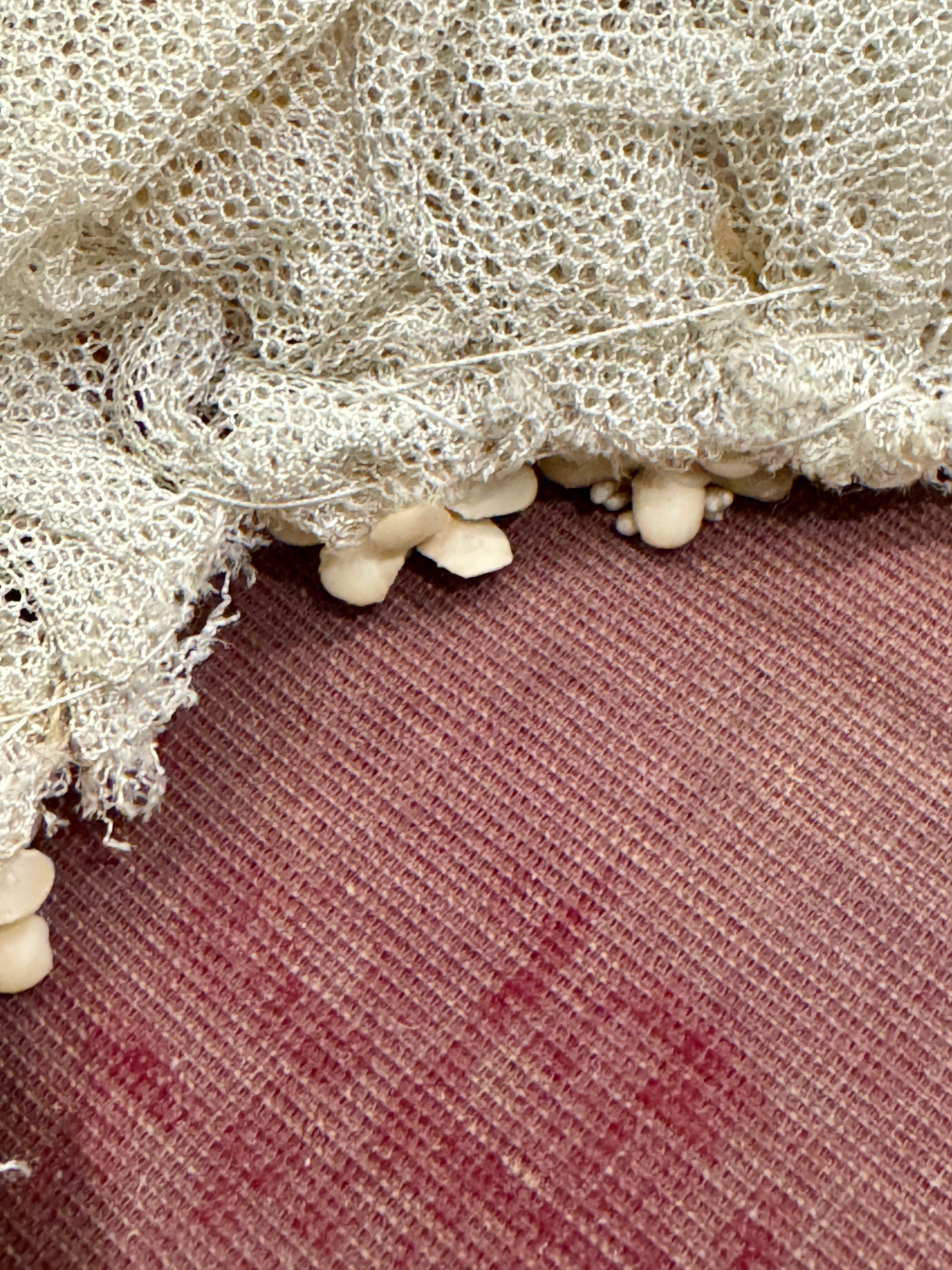 Antique Early 1800s French Tulle Wedding Crown or Hairpiece