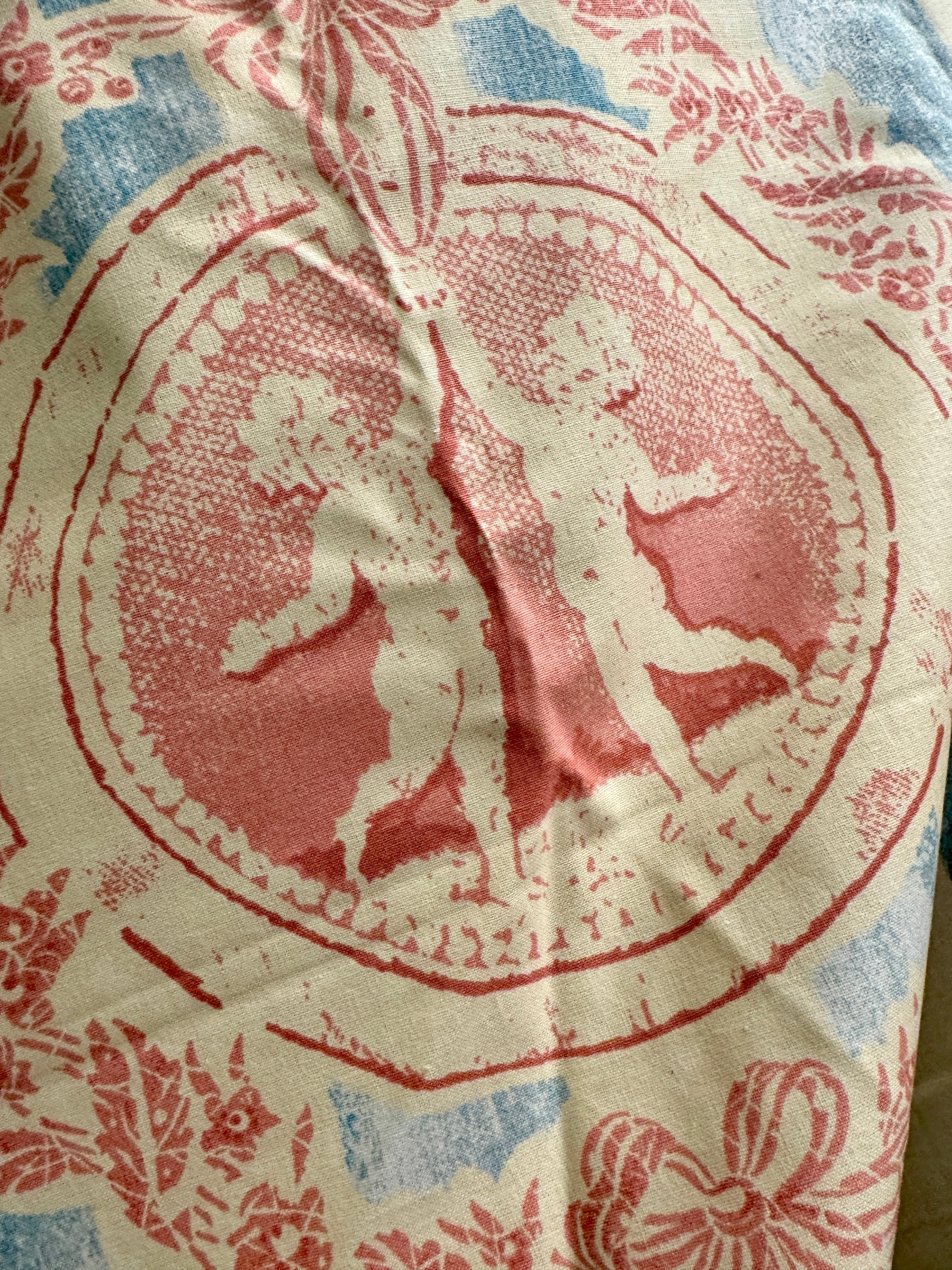 Beautiful French Printed Cotton *