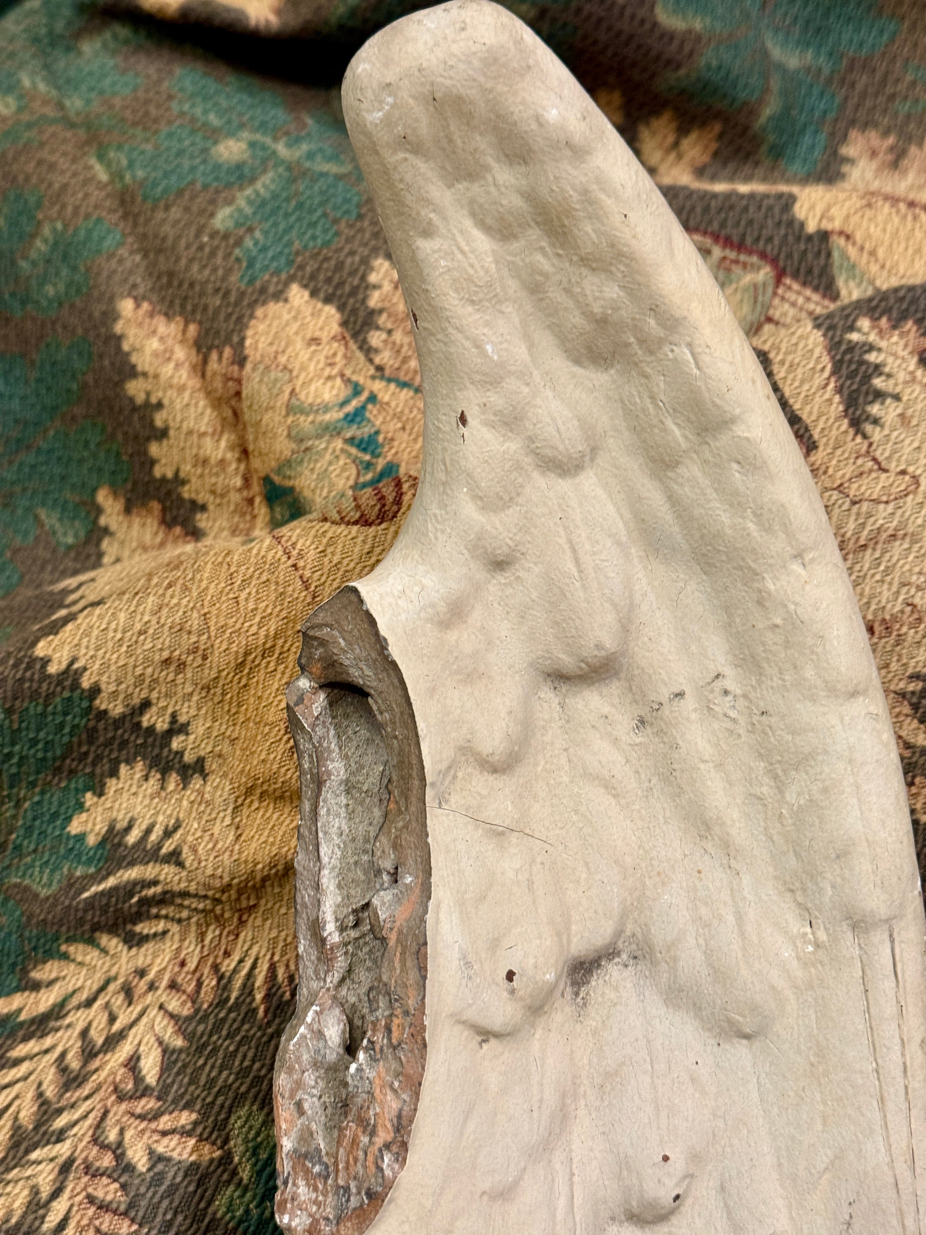 Antique 1800s French Angel Wing