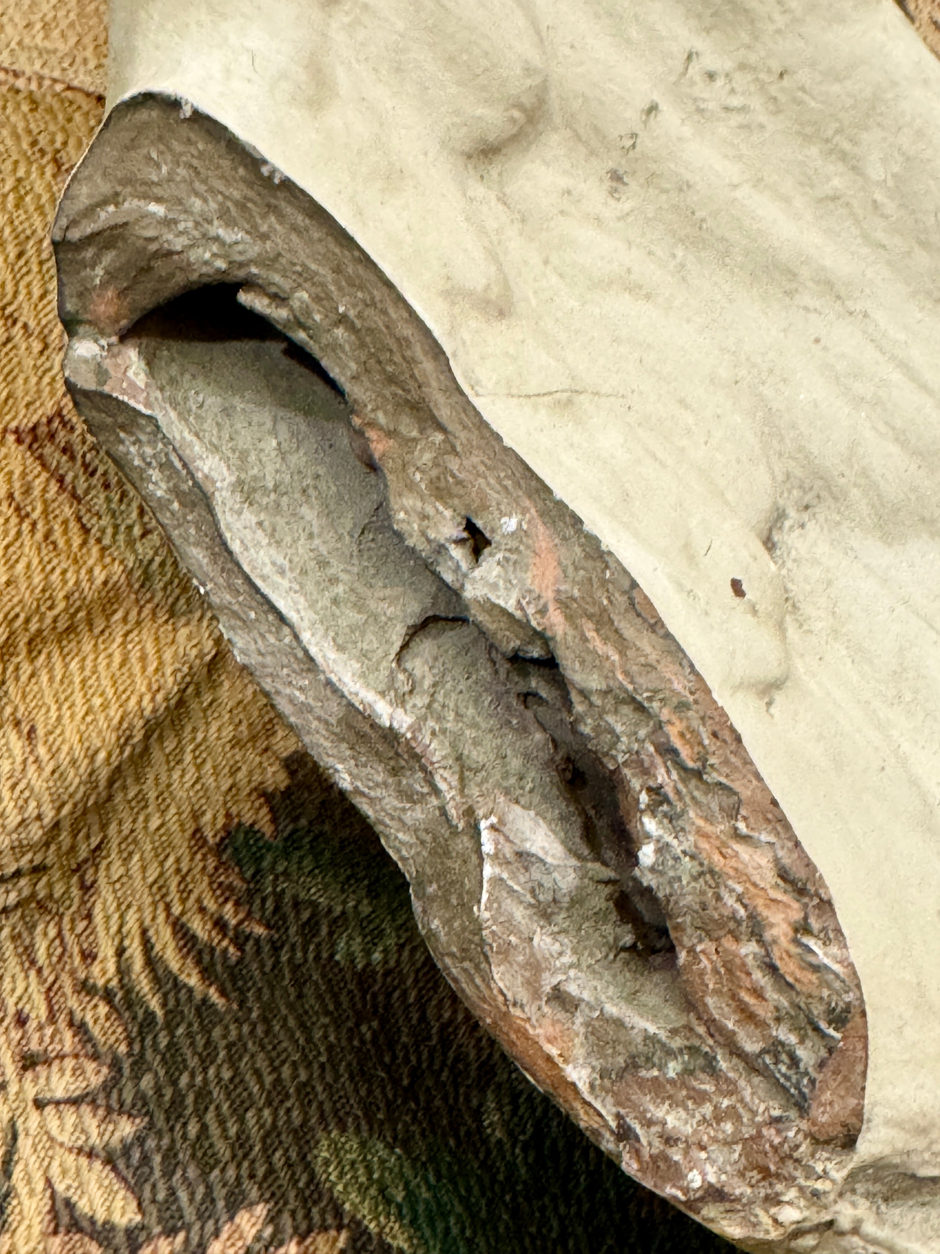 Antique 1800s French Angel Wing