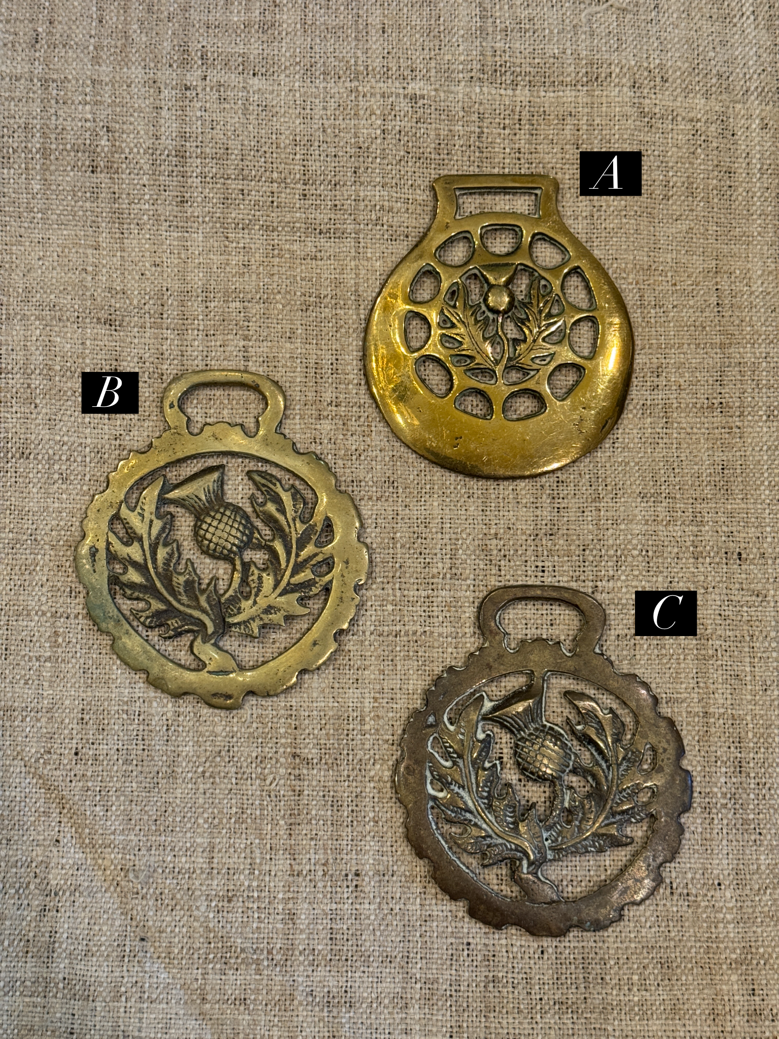 Vintage English Souvenir Horse Brass