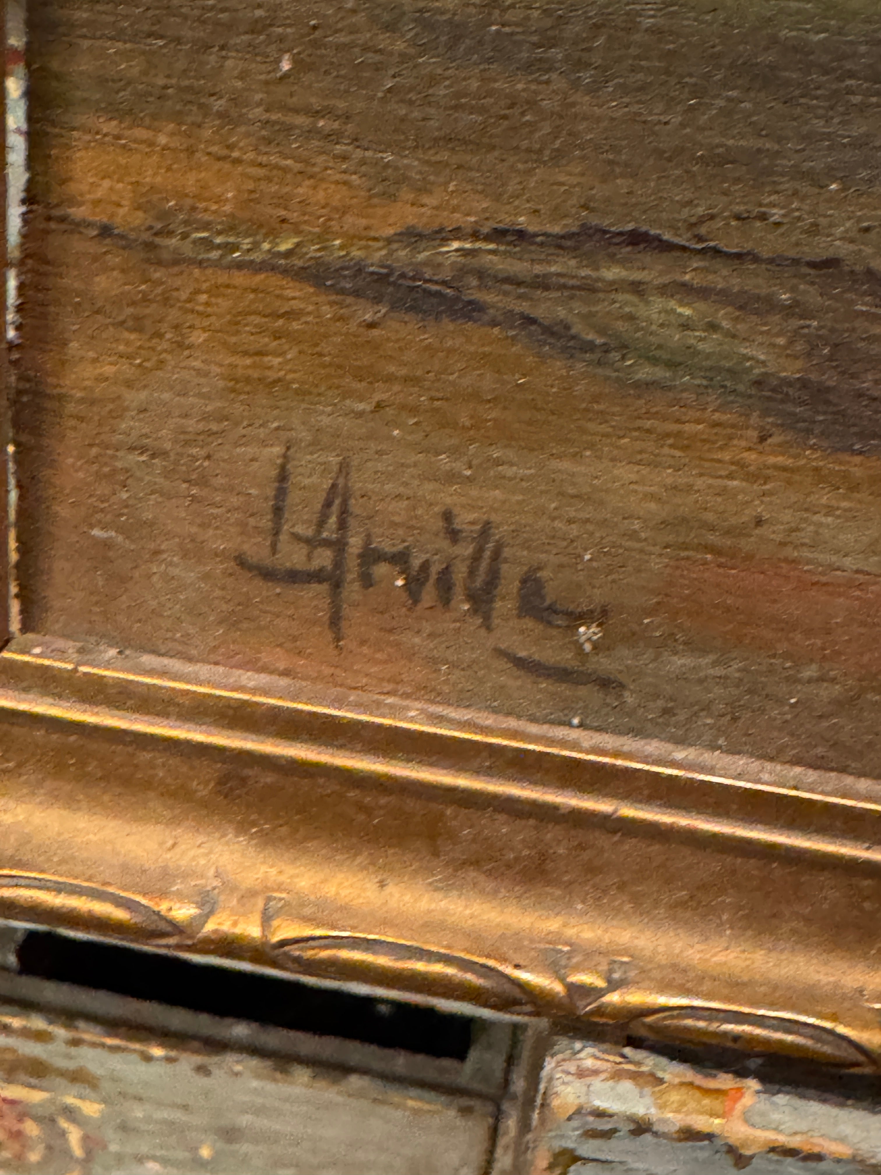 Antique French Framed Botanical Picture