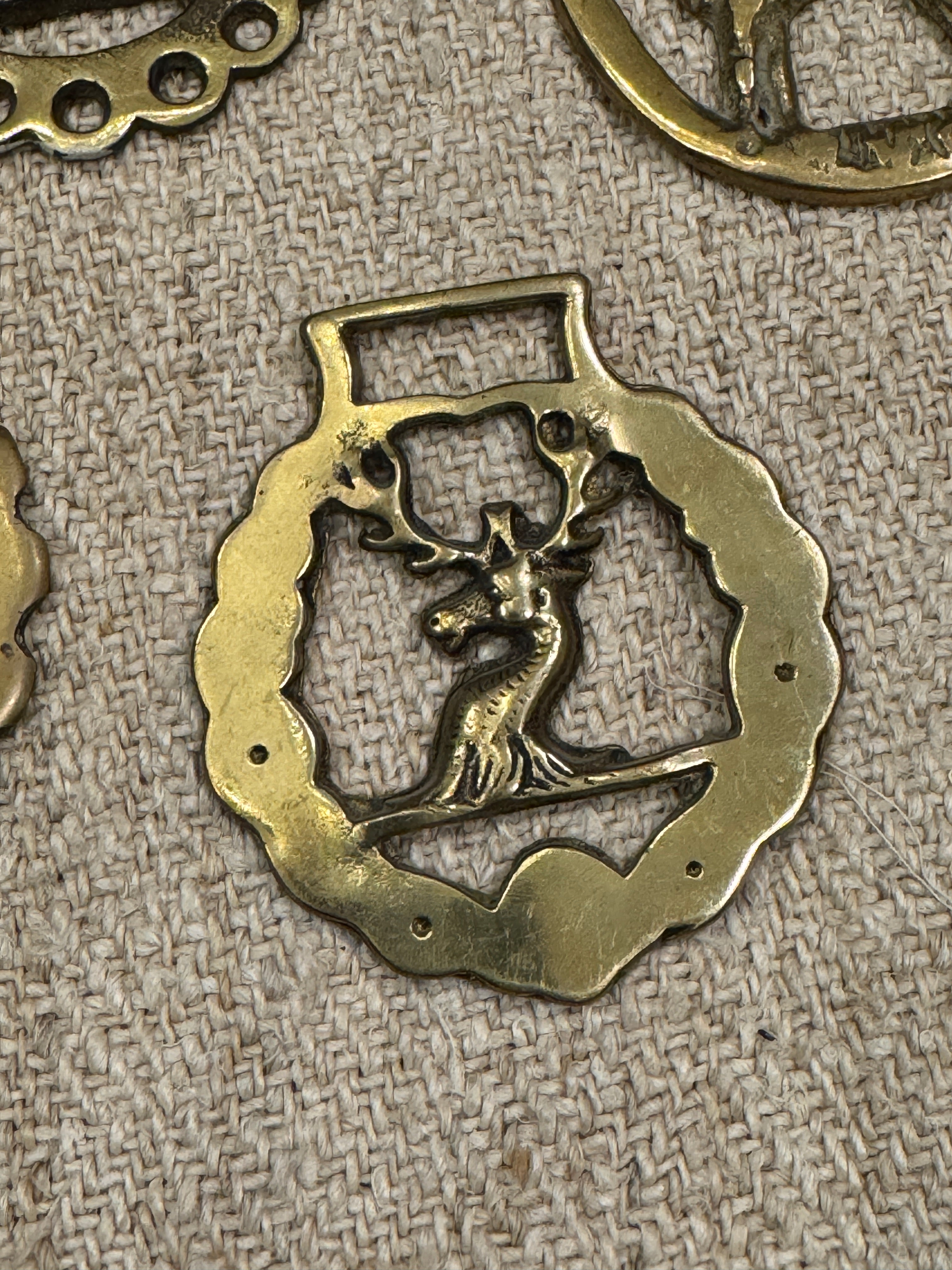 Vintage English Souvenir Horse Brass Deer Medallions