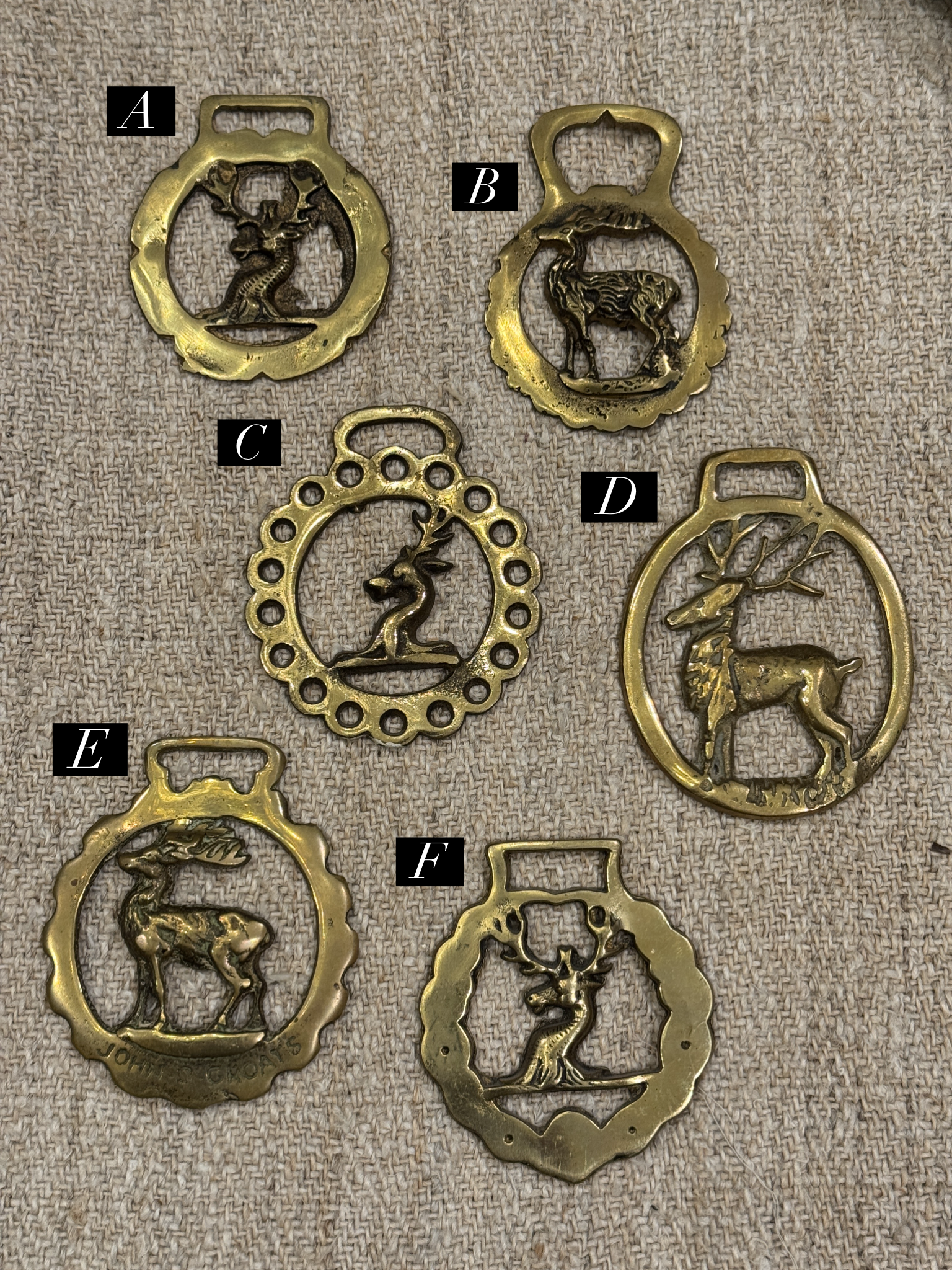 Vintage English Souvenir Horse Brass Deer Medallions