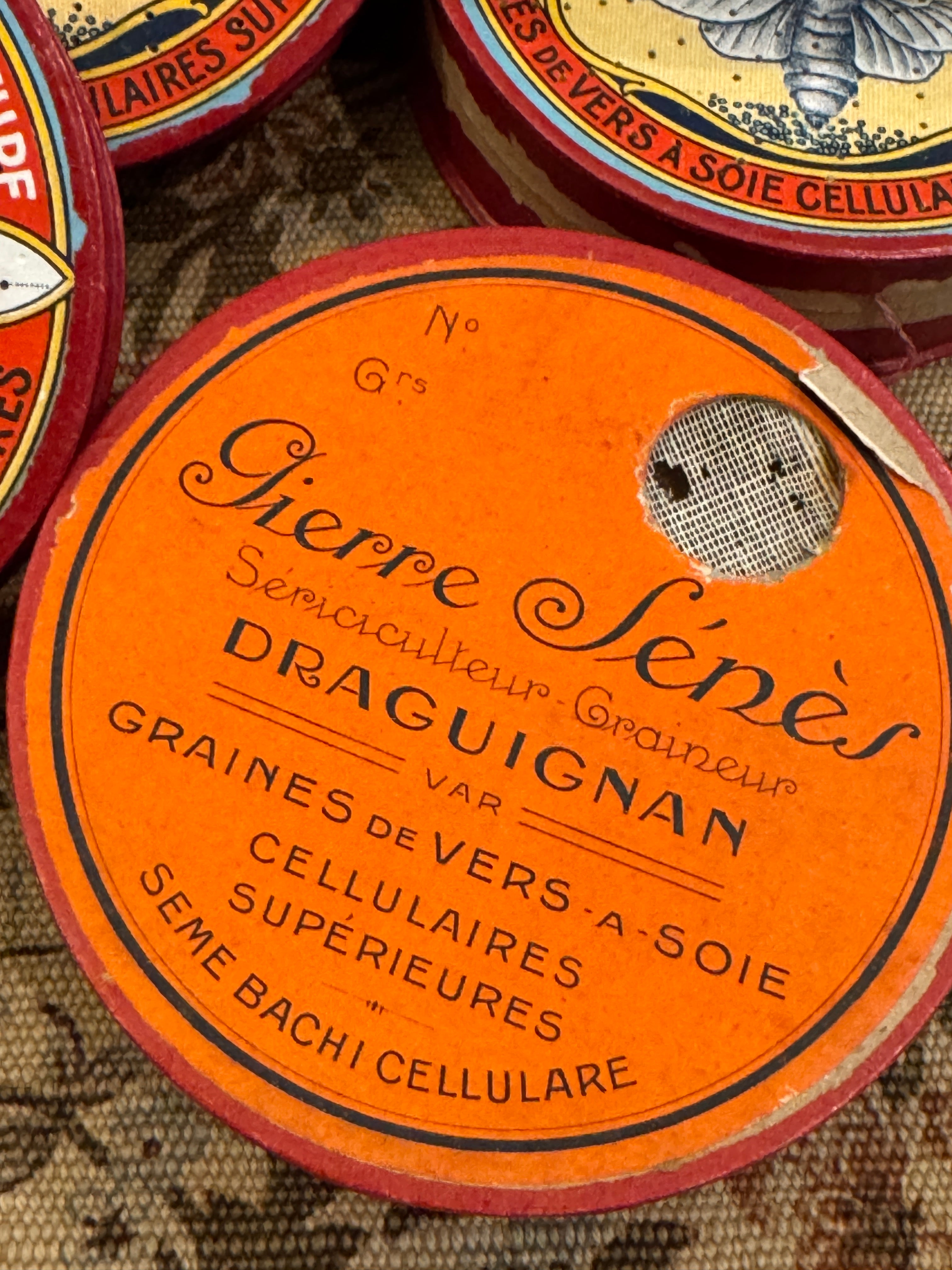 Antique 1800s French Silk Moth Boxes