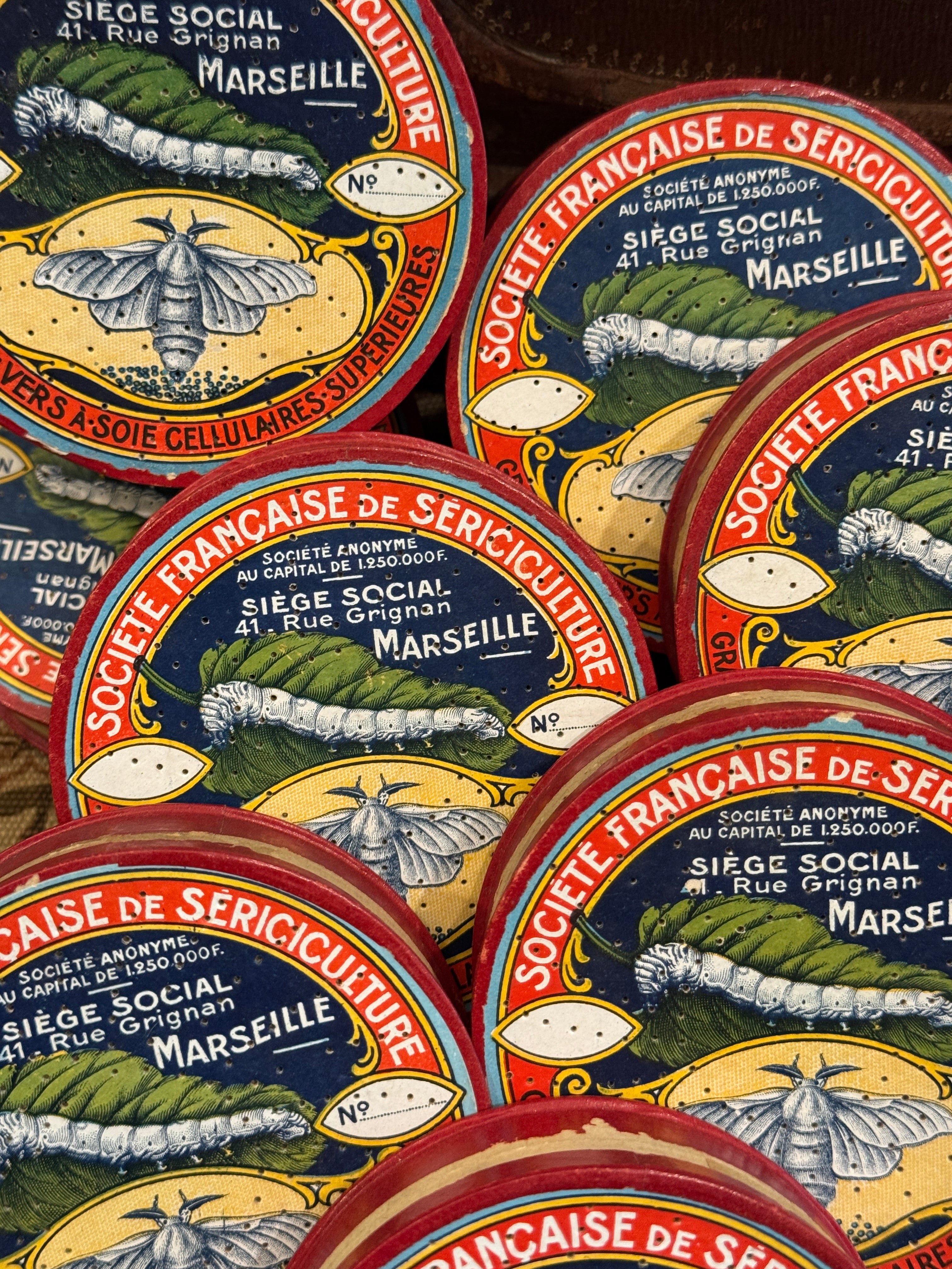 Antique 1800s French Silk Moth Boxes