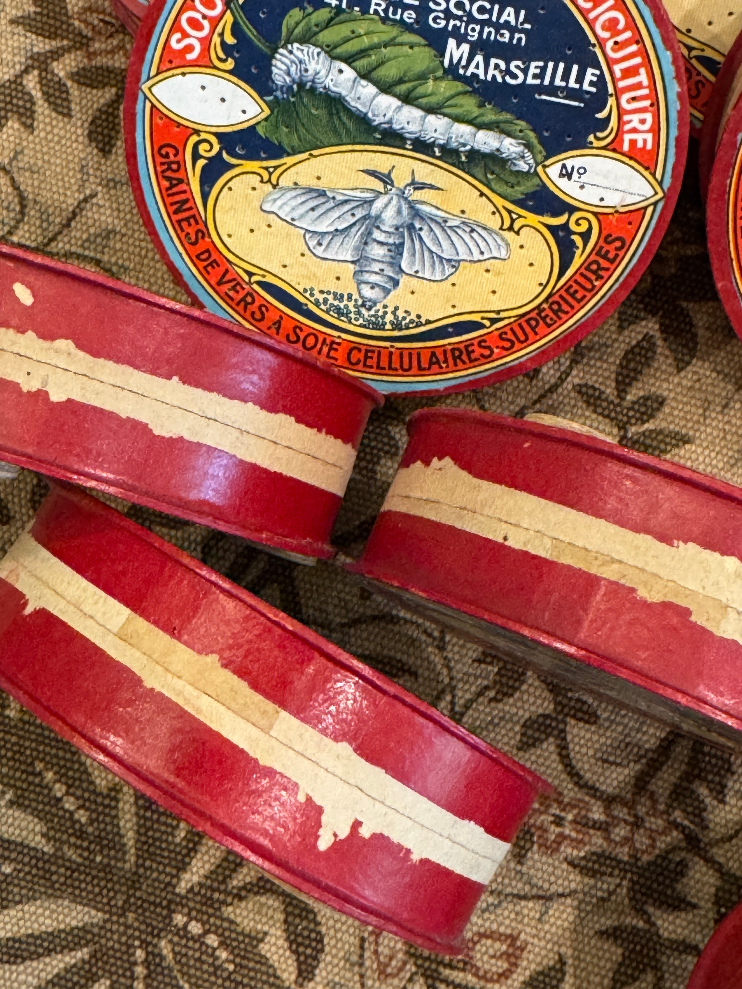 Antique 1800s French Silk Moth Boxes