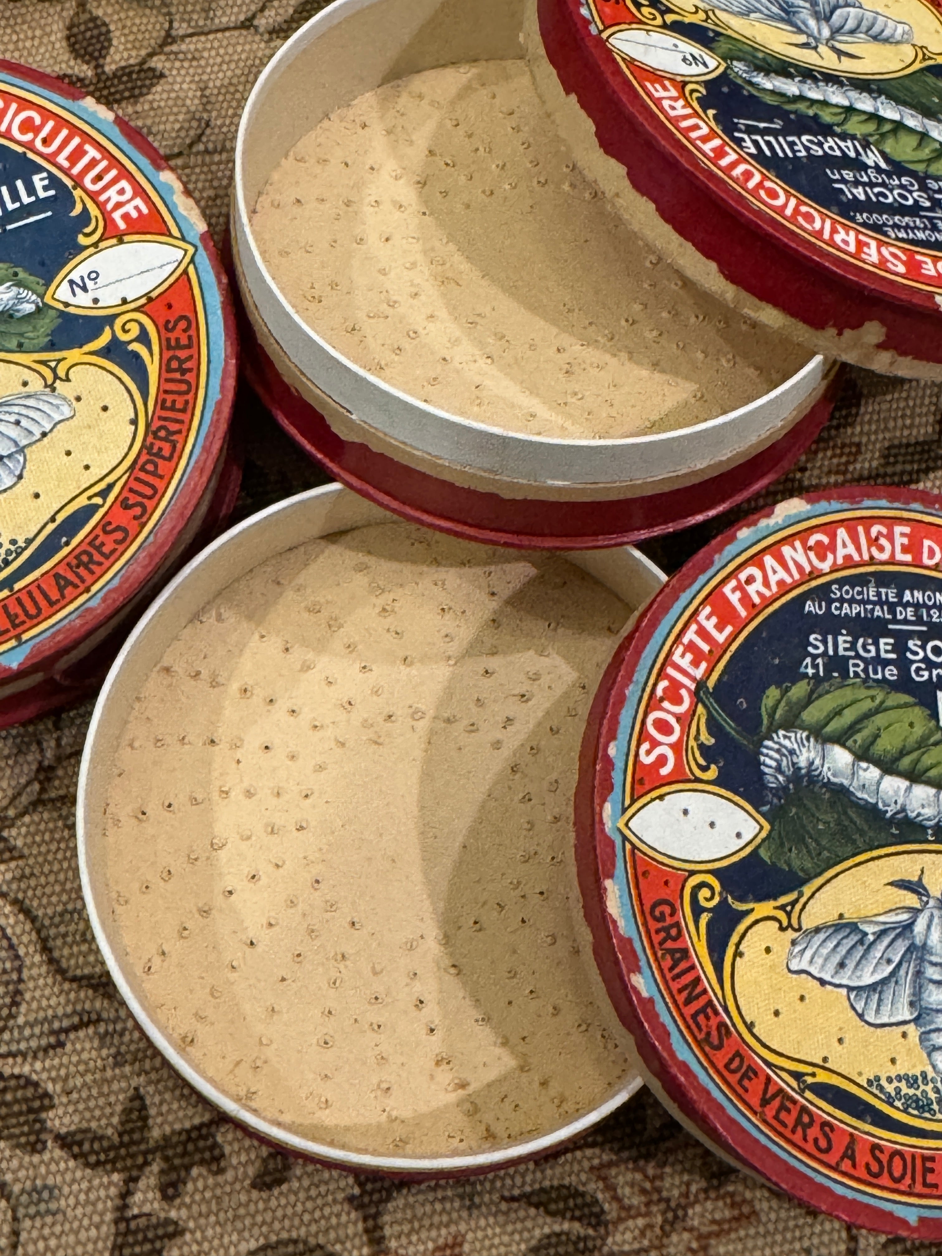 Antique 1800s French Silk Moth Boxes