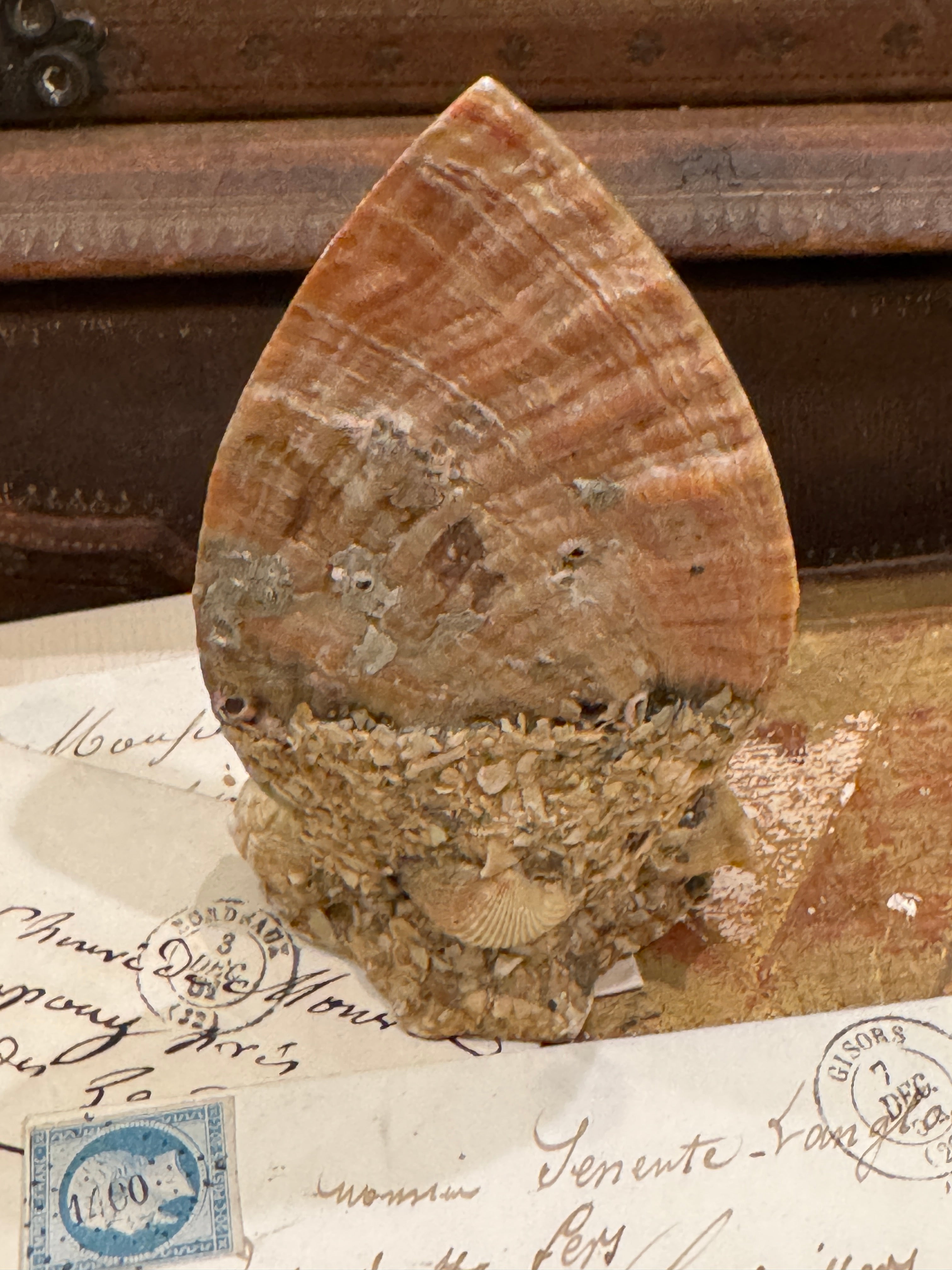 Antique French Seashell Inkwell Art