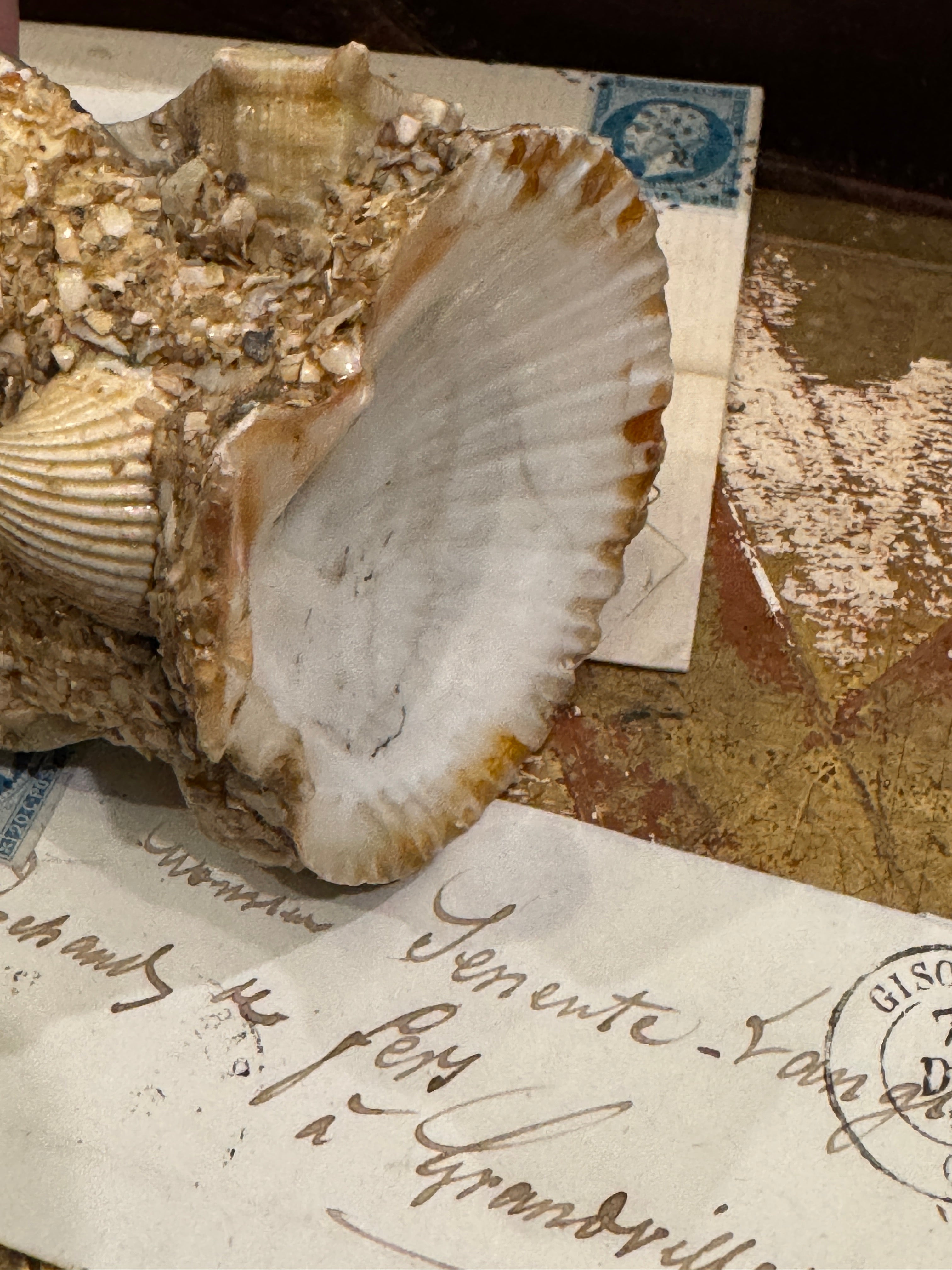 Antique French Seashell Inkwell Art