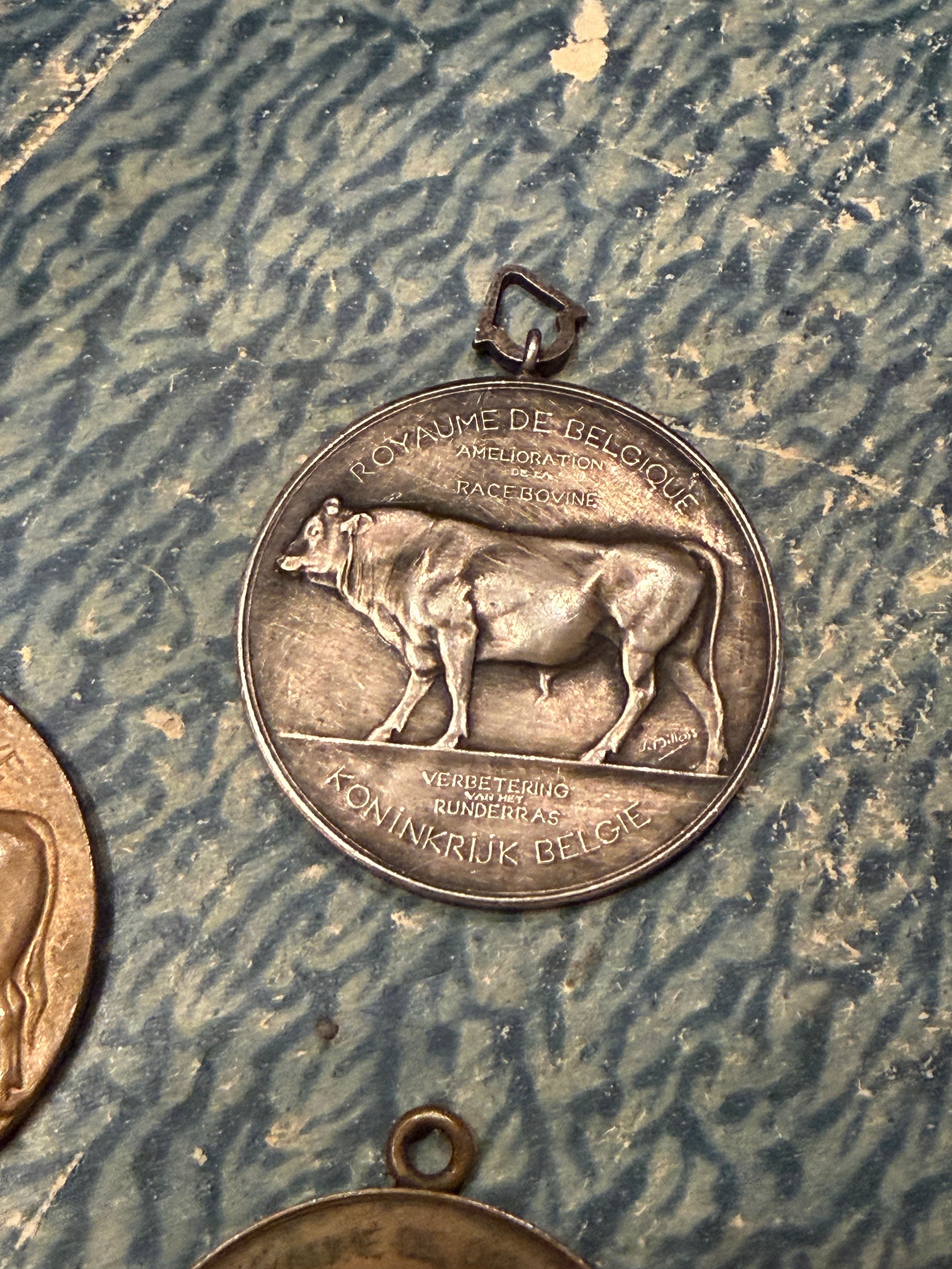 Antique Agricultural Cow Medals – Monahan Papers