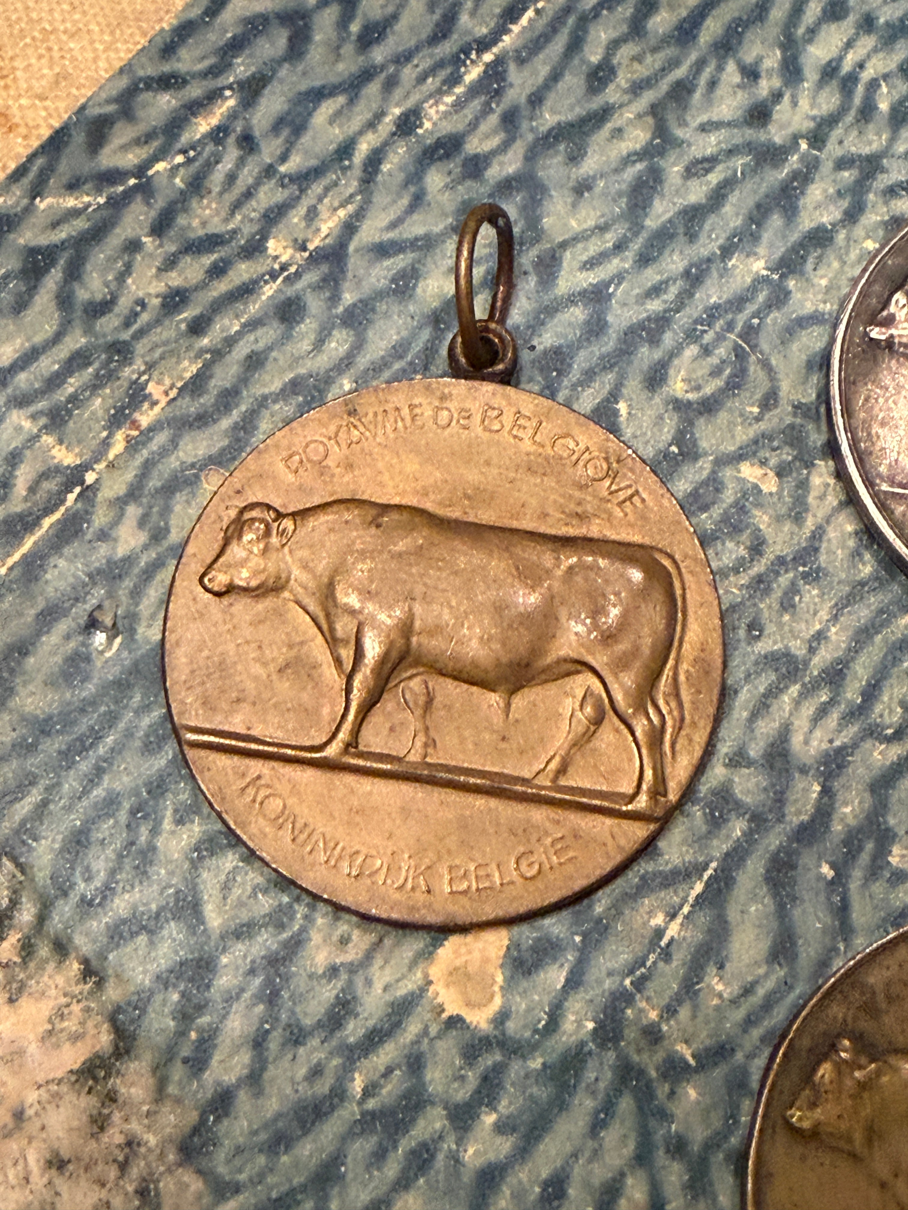 Antique Agricultural Cow Medals – Monahan Papers