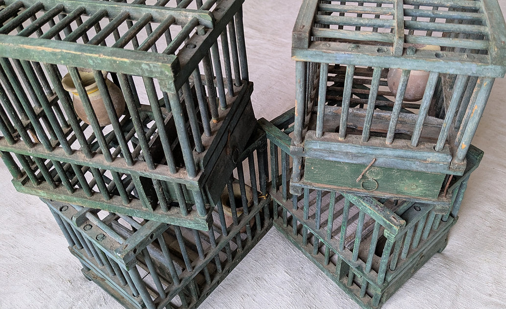 Antique 1800s French Songbird Cages