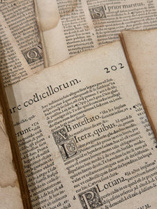 Original Italian Book Pages From 1550 - Set/8