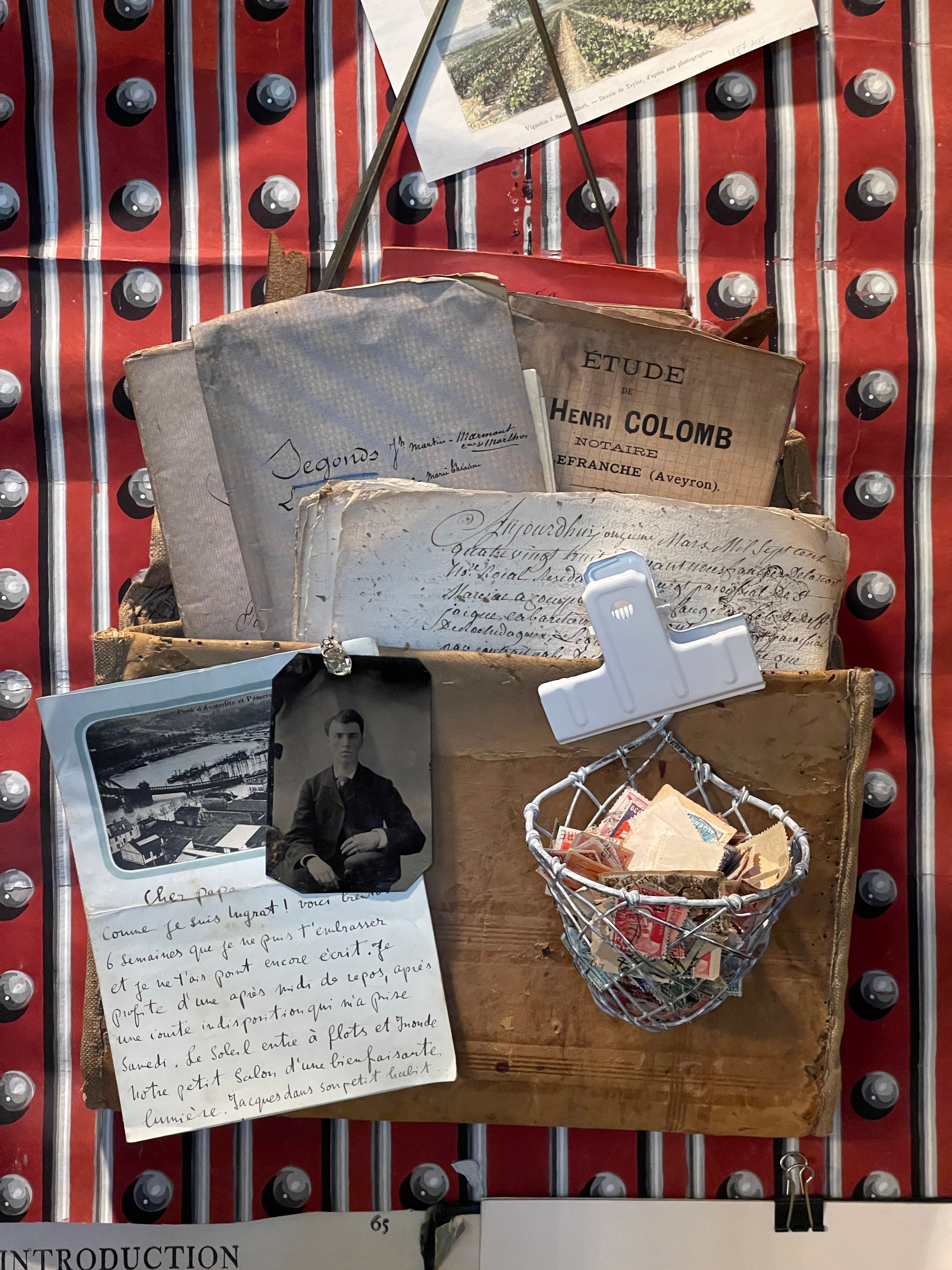 Chicken Wire Wall Basket and Clip