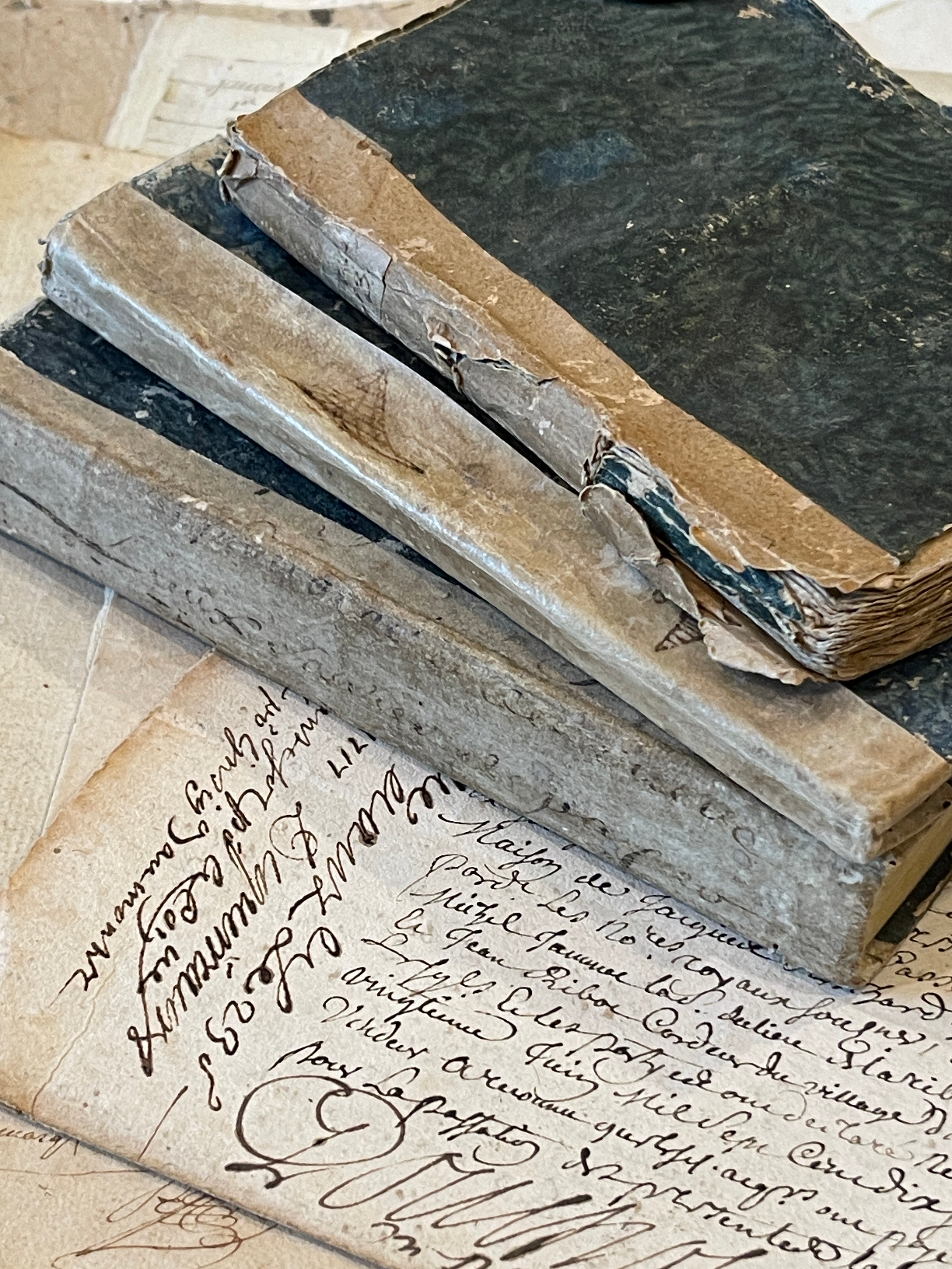 Antique 1805 - 1833 French Blue Paste Paper Books
