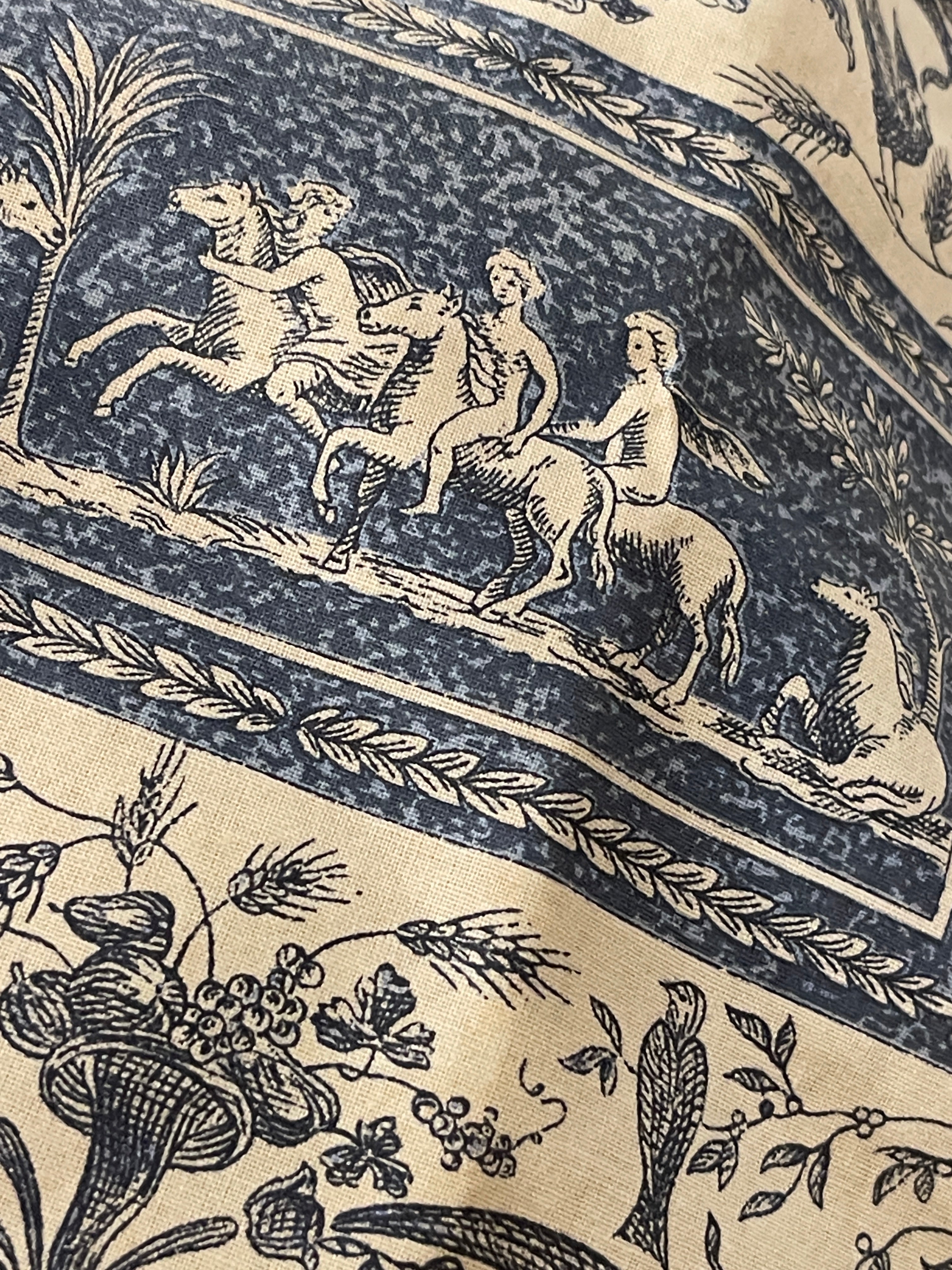 Beautiful Vintage French Blue Cotton Toile
