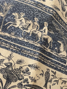 Beautiful Vintage French Blue Cotton Toile