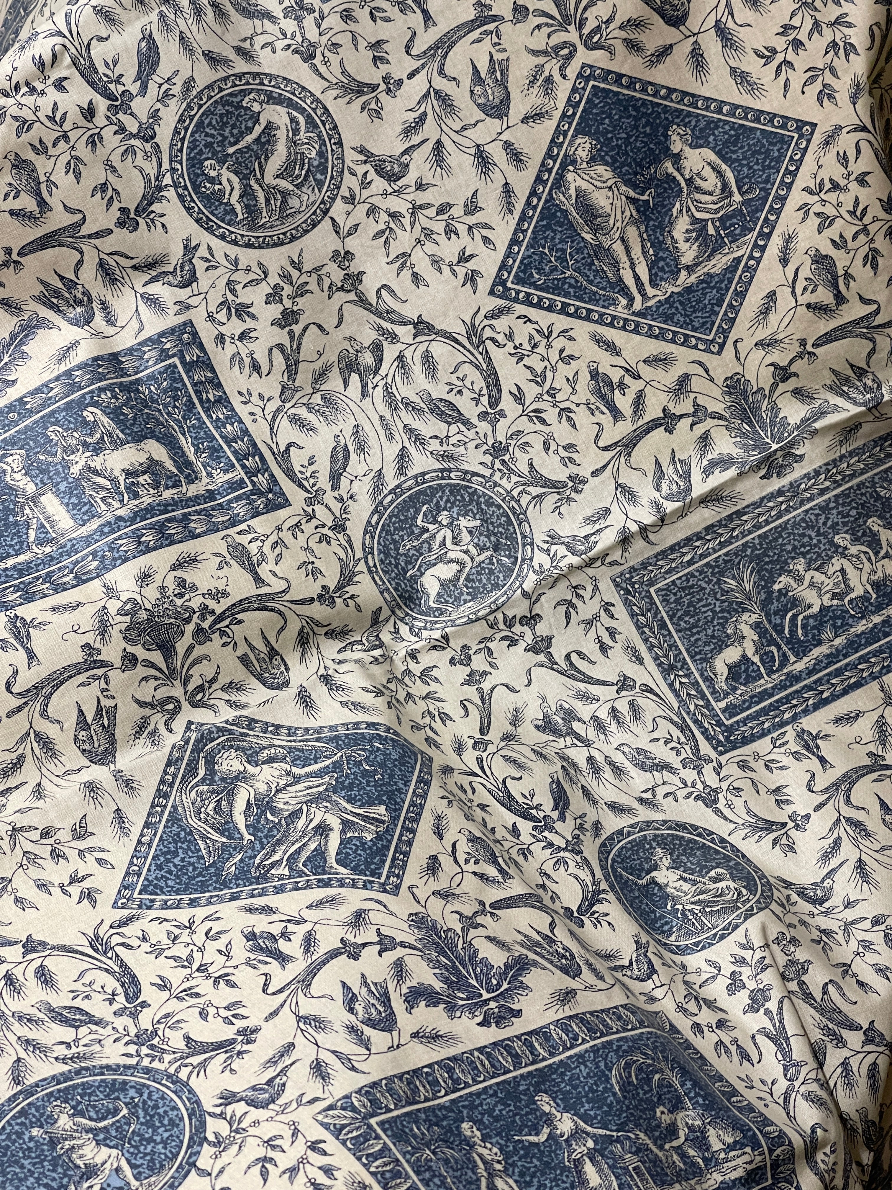 Beautiful Vintage French Blue Cotton Toile