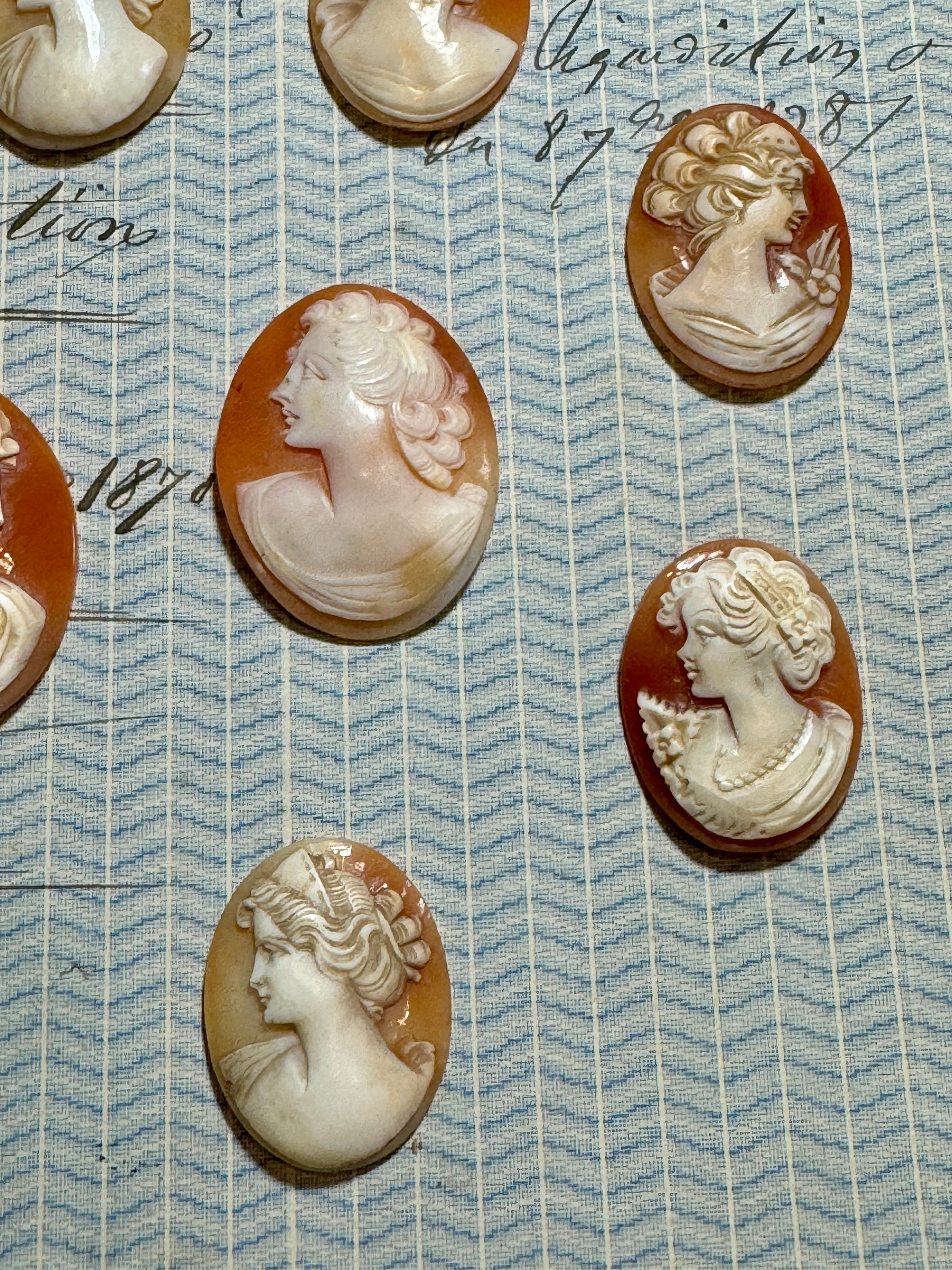Carved Italian Shell Cameos Circa 1800s - B