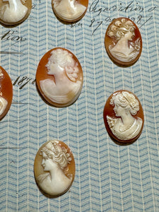 Carved Italian Shell Cameos Circa 1800s - B
