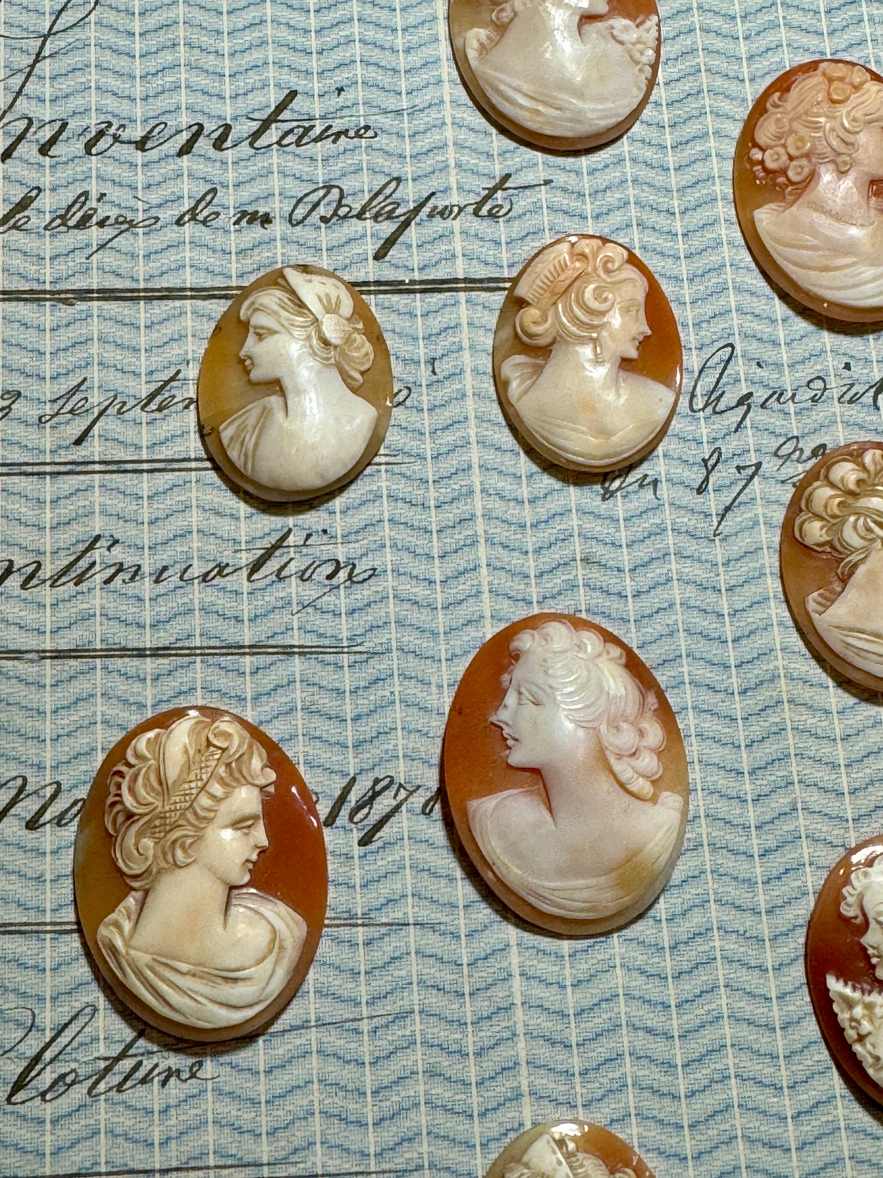 Carved Italian Shell Cameos Circa 1800s - B