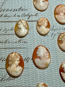 Carved Italian Shell Cameos Circa 1800s - B