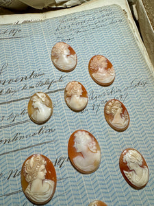 Carved Italian Shell Cameos Circa 1800s - B
