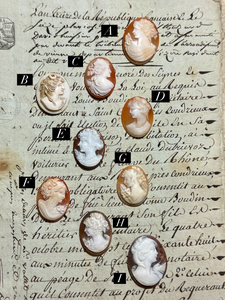 Carved Italian Shell Cameos Circa 1800s - C