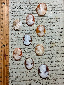 Carved Italian Shell Cameos Circa 1800s - C