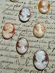 Carved Italian Shell Cameos Circa 1800s - C
