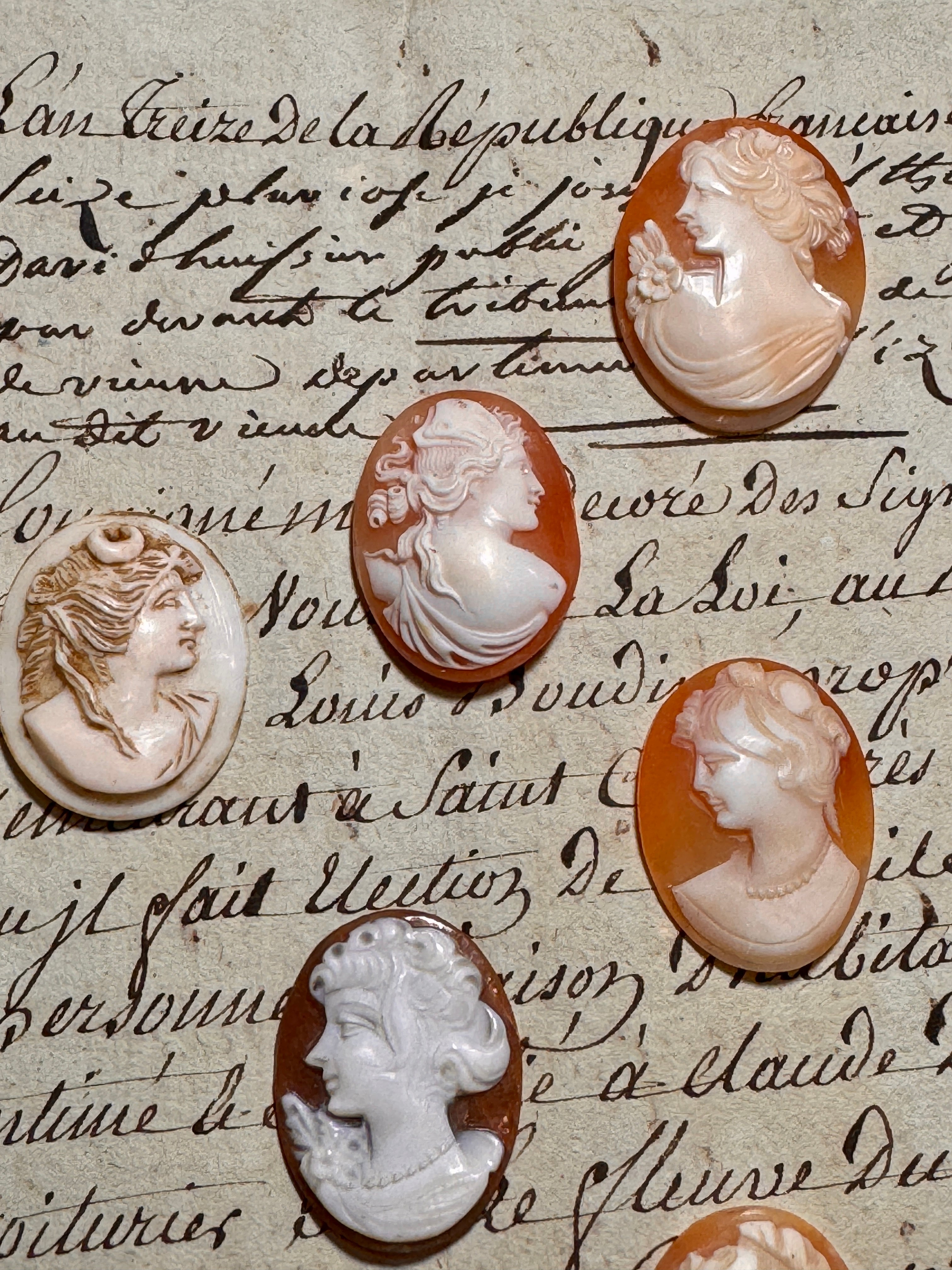Carved Italian Shell Cameos Circa 1800s - C